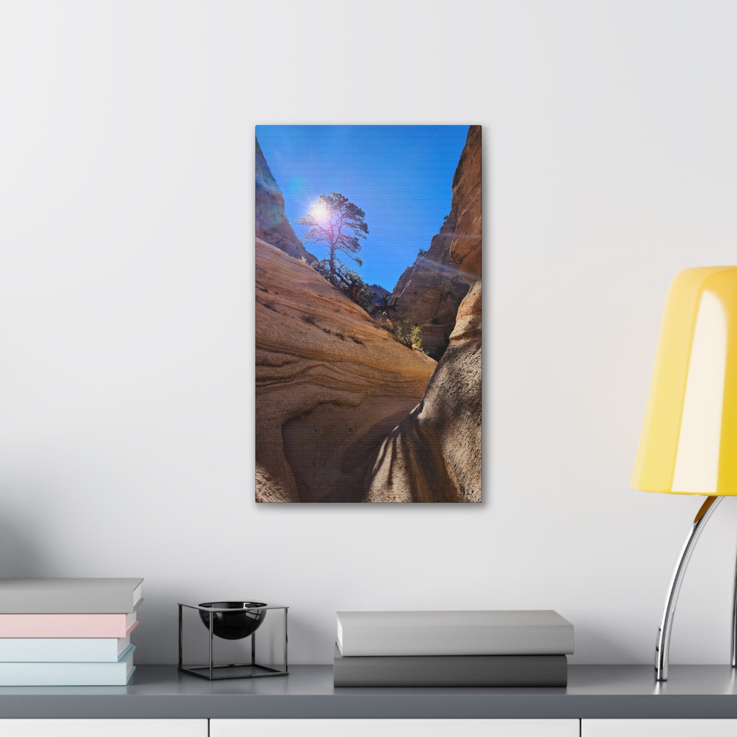 Sun and Tree at Tent Rocks National Park: Canvas Print