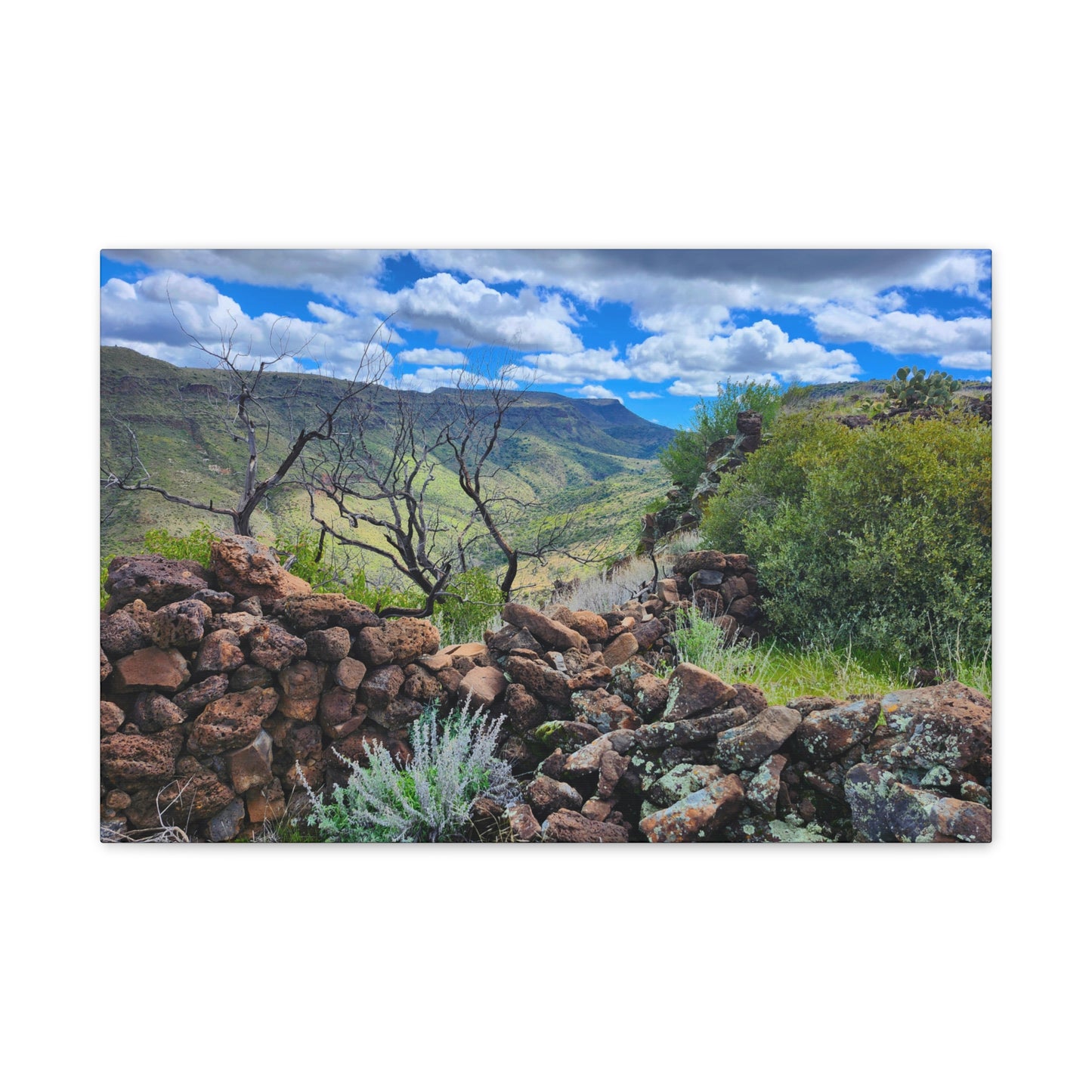 The Ruins of Skull Mesa (#5); Arizona Photography, Wall Art, Natural Landscape Home Decor for Hikers and Nature Lovers!