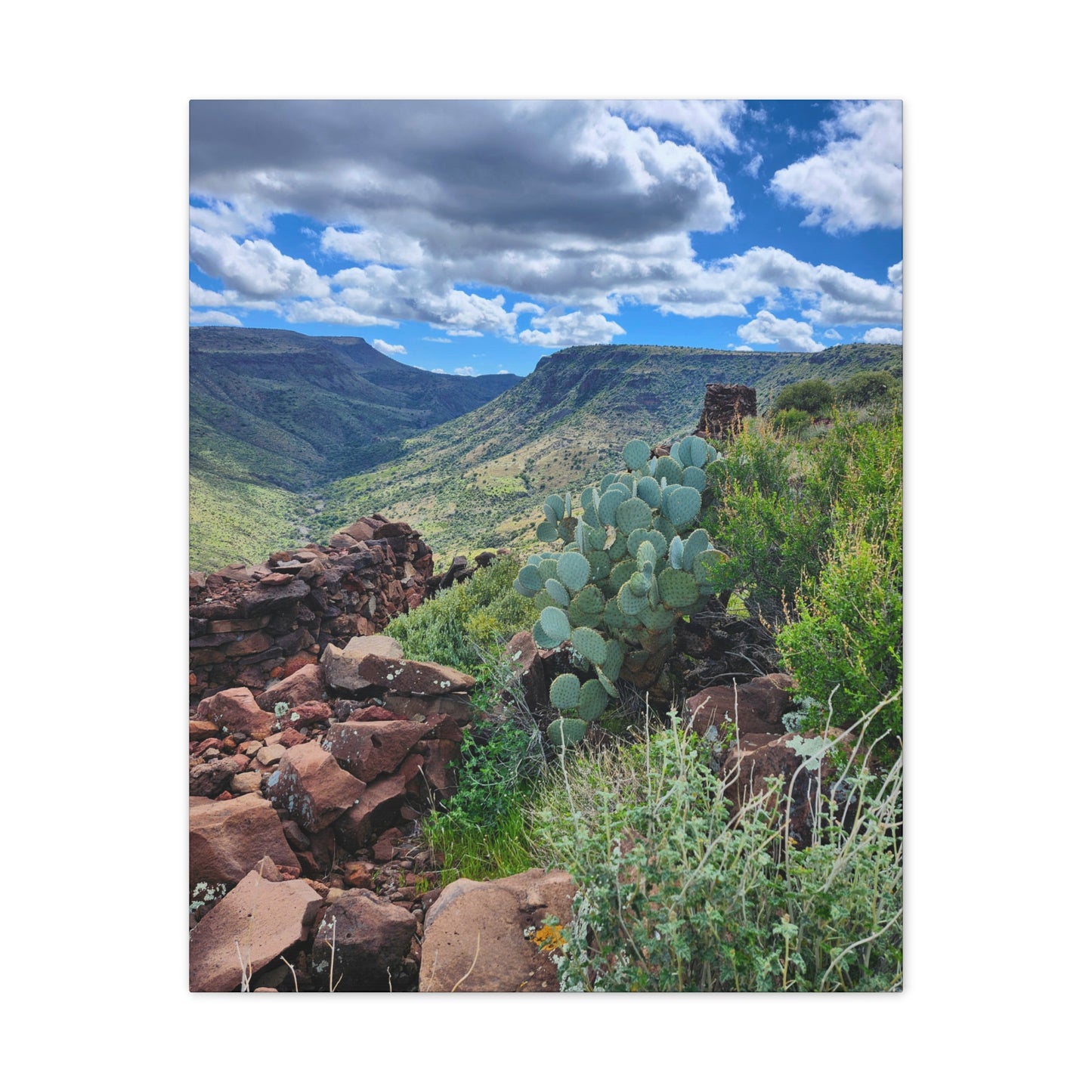 The Ruins of Skull Mesa (#7); Arizona Photography, Wall Art, Natural Landscape Home Decor for Hikers and Nature Lovers!