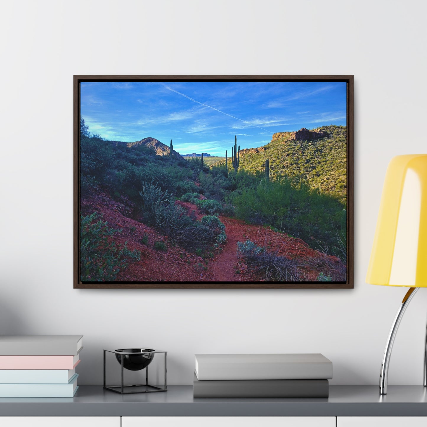 Framed Canvas Gallery Wraps: The Vibrant Desert; Arizona Photography, Wall Art, Natural Landscape Home Decor for Hikers and Nature Lovers!