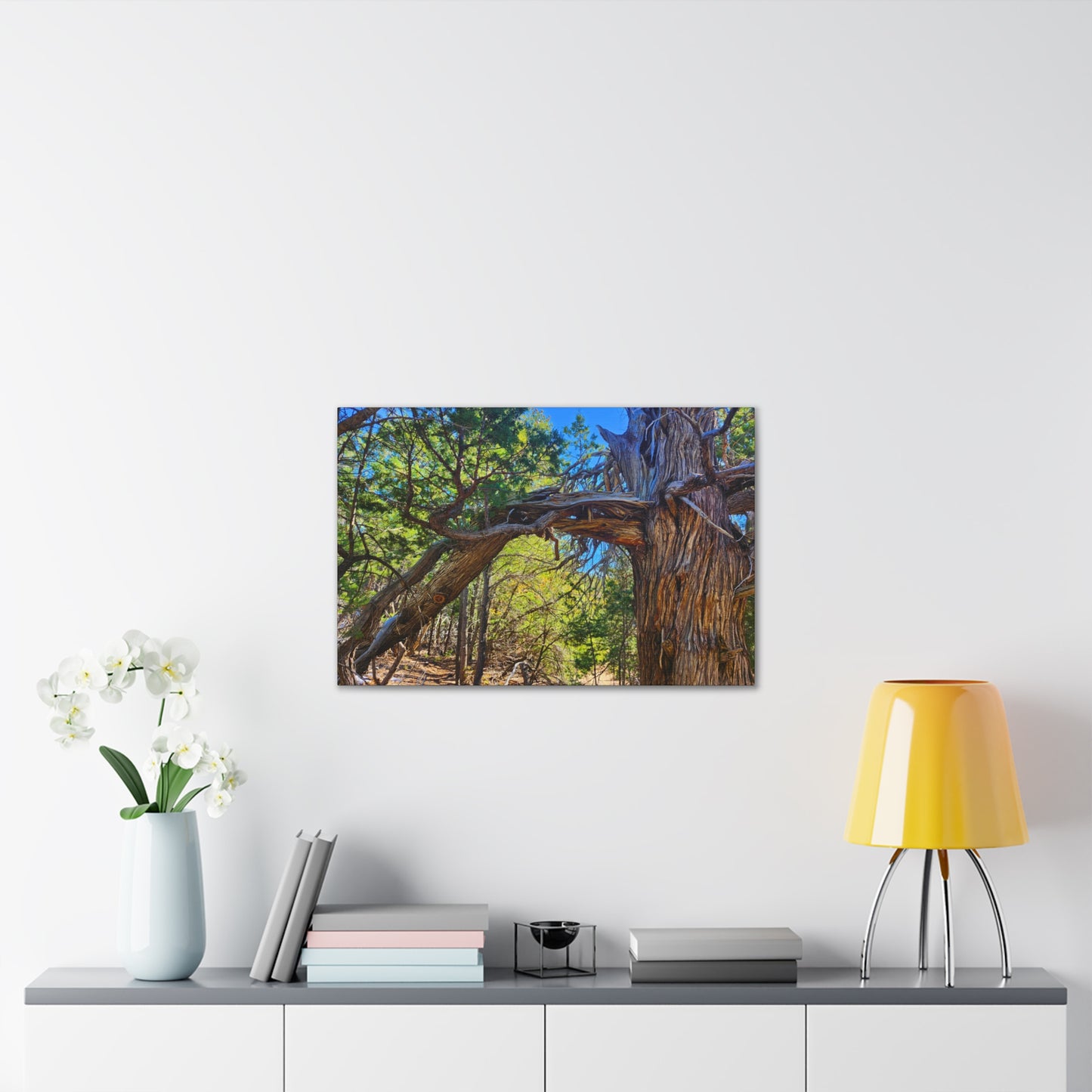 Wisdom: New Mexican Juniper (Canvas Print)