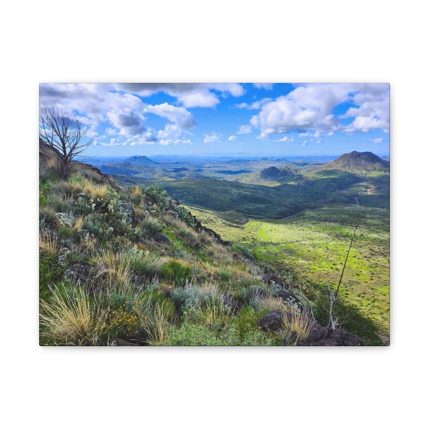 A Gorgeous View from Skull Mesa; Arizona Photography, Wall Art, Natural Landscape Home Decor for Hikers and Nature Lovers!