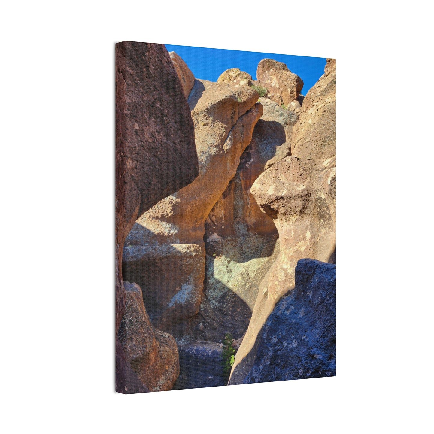 Dinosaurs in Stone; Arizona Photography, Wall Art, Natural Landscape Home Decor for Hikers and Nature Lovers!