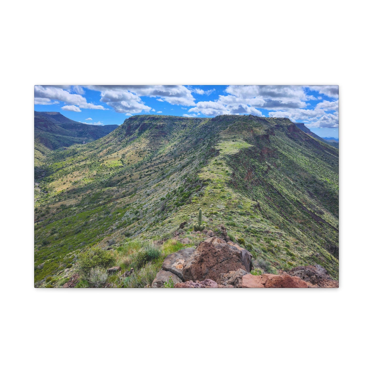 Looking Back at Skull Mesa; Arizona Photography, Wall Art, Natural Landscape Home Decor for Hikers and Nature Lovers!