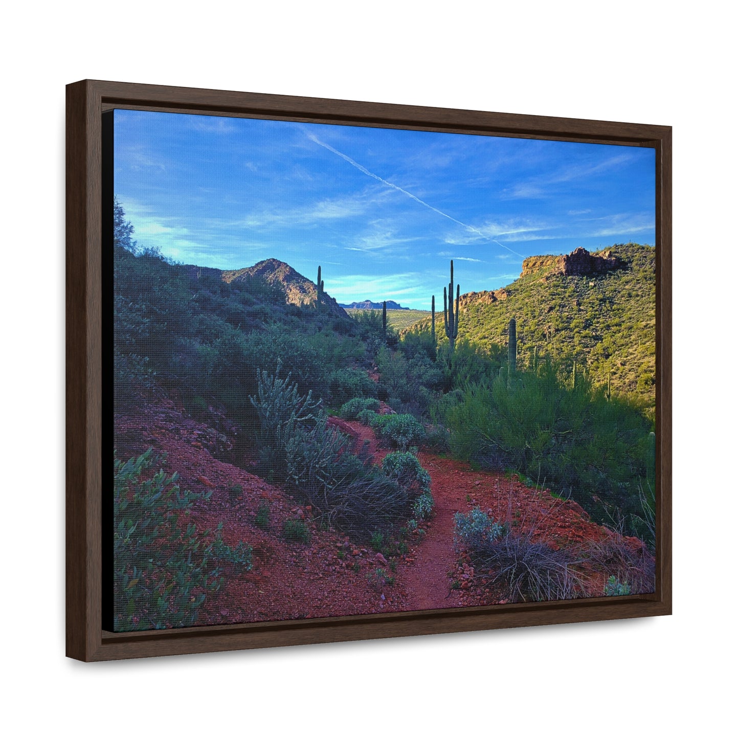 Framed Canvas Gallery Wraps: The Vibrant Desert; Arizona Photography, Wall Art, Natural Landscape Home Decor for Hikers and Nature Lovers!