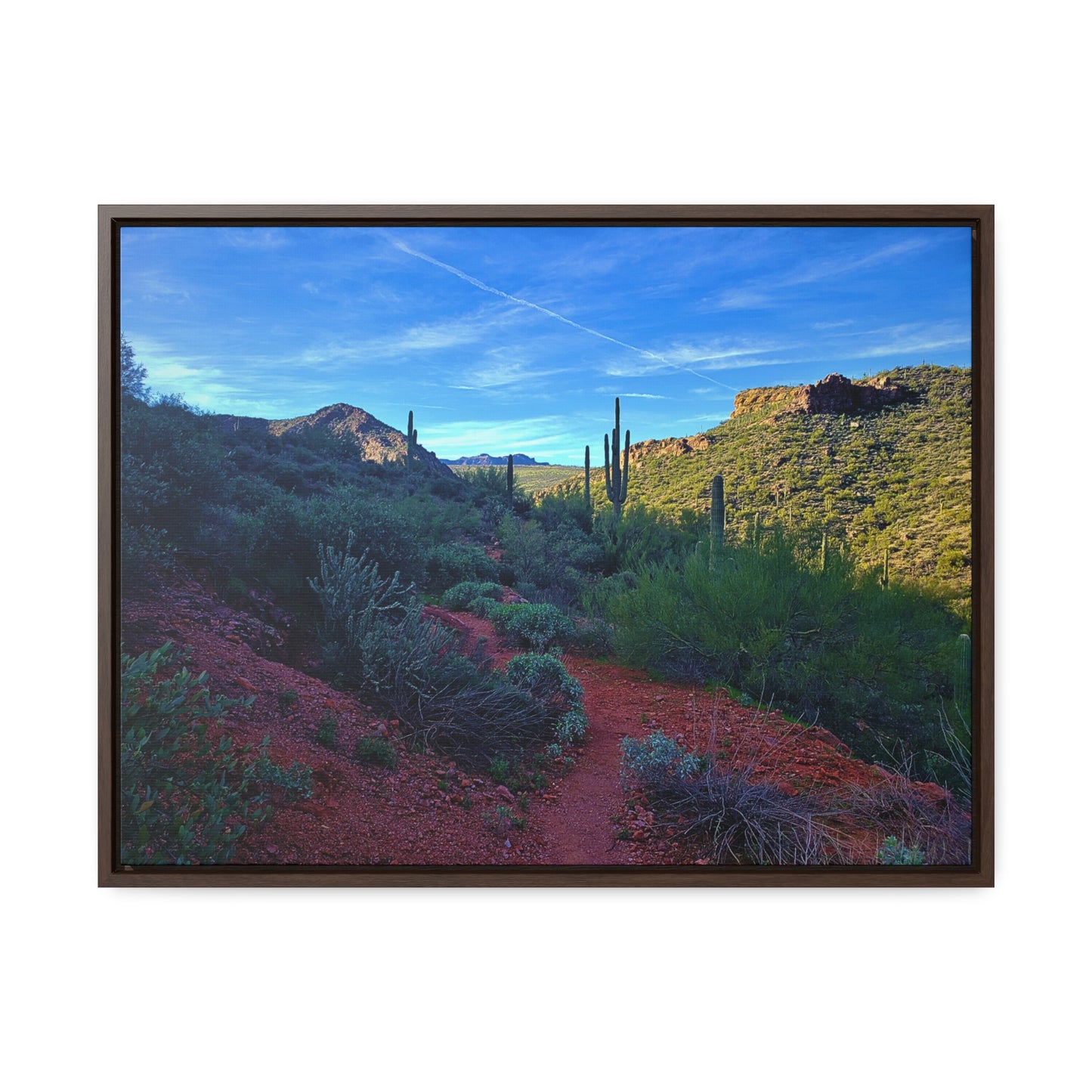 Framed Canvas Gallery Wraps: The Vibrant Desert; Arizona Photography, Wall Art, Natural Landscape Home Decor for Hikers and Nature Lovers!