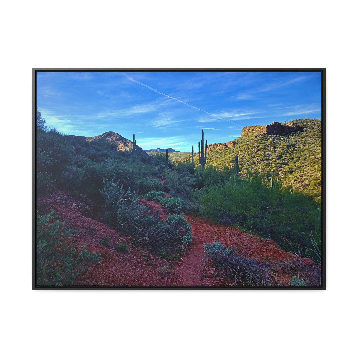 Framed Canvas Gallery Wraps: The Vibrant Desert; Arizona Photography, Wall Art, Natural Landscape Home Decor for Hikers and Nature Lovers!