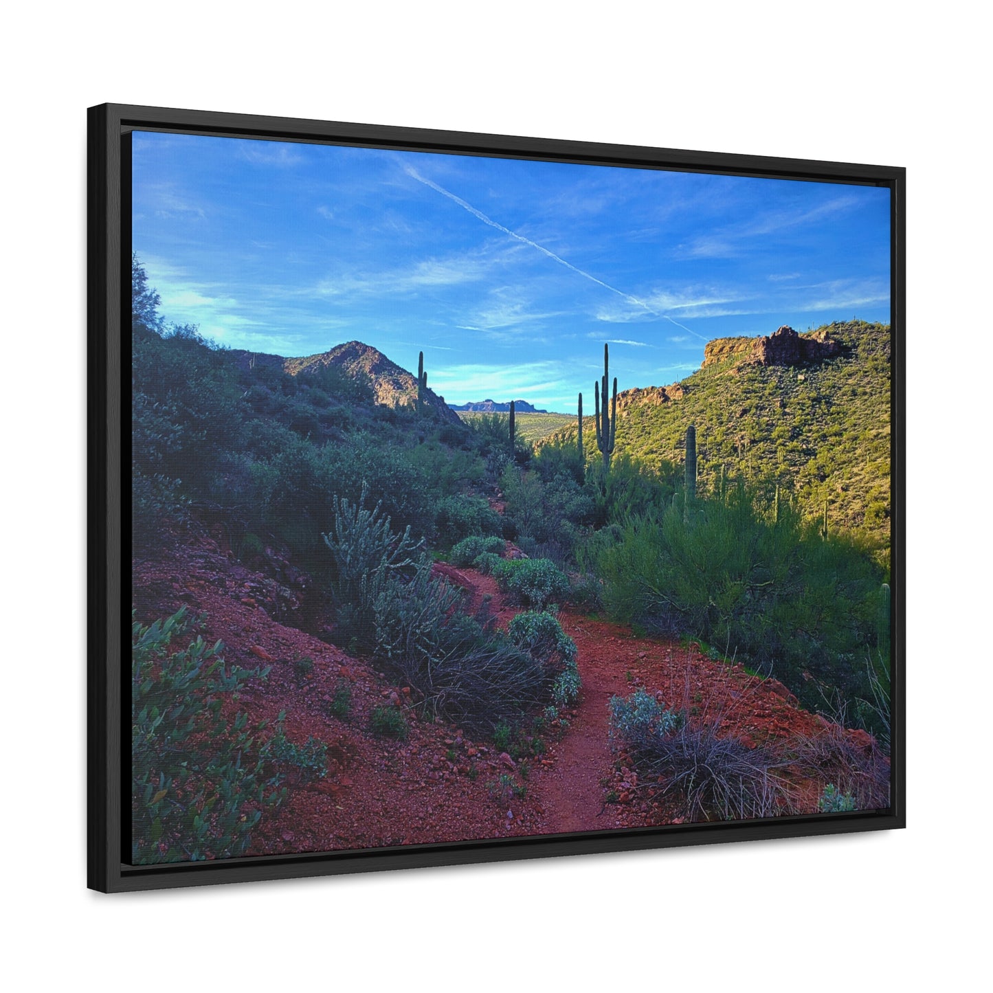 Framed Canvas Gallery Wraps: The Vibrant Desert; Arizona Photography, Wall Art, Natural Landscape Home Decor for Hikers and Nature Lovers!
