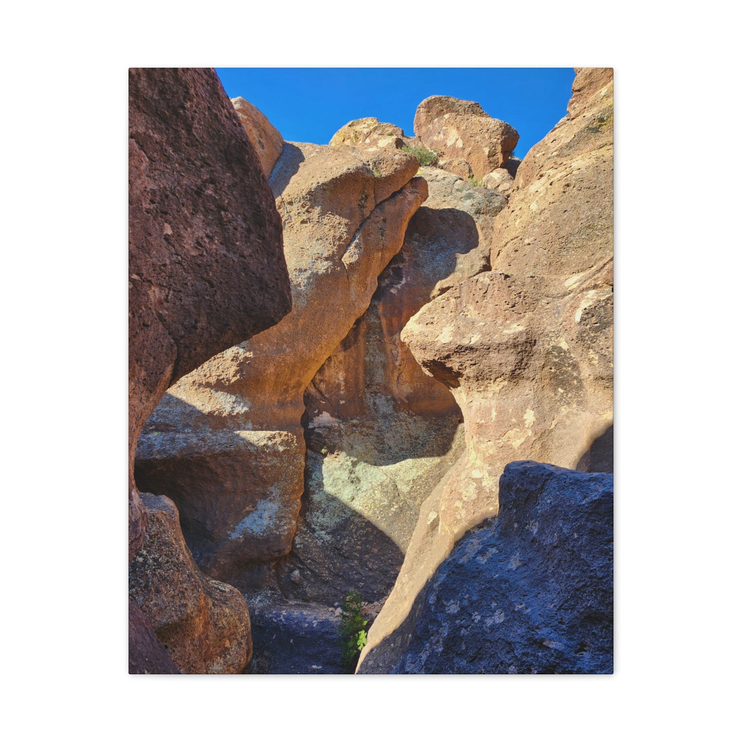 Dinosaurs in Stone; Arizona Photography, Wall Art, Natural Landscape Home Decor for Hikers and Nature Lovers!