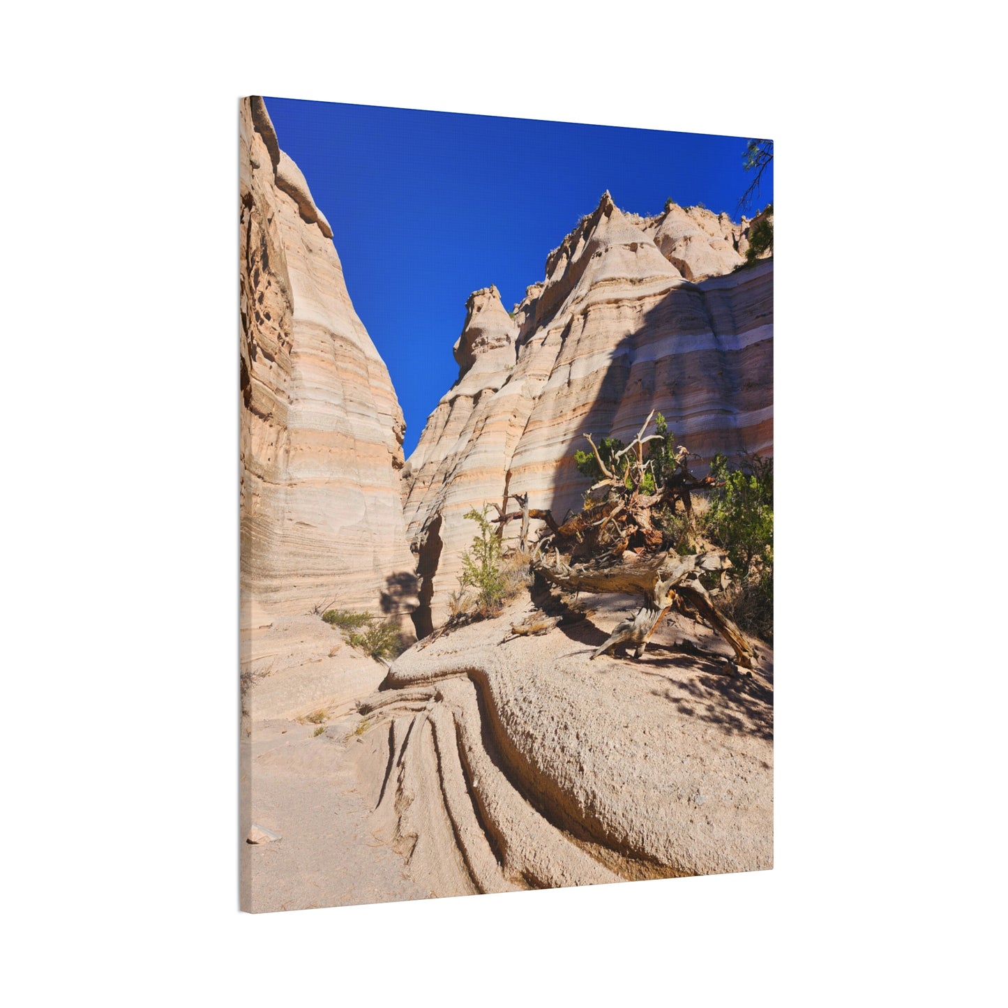 Slot Canyon Through Tent Rocks National Park: Canvas Print