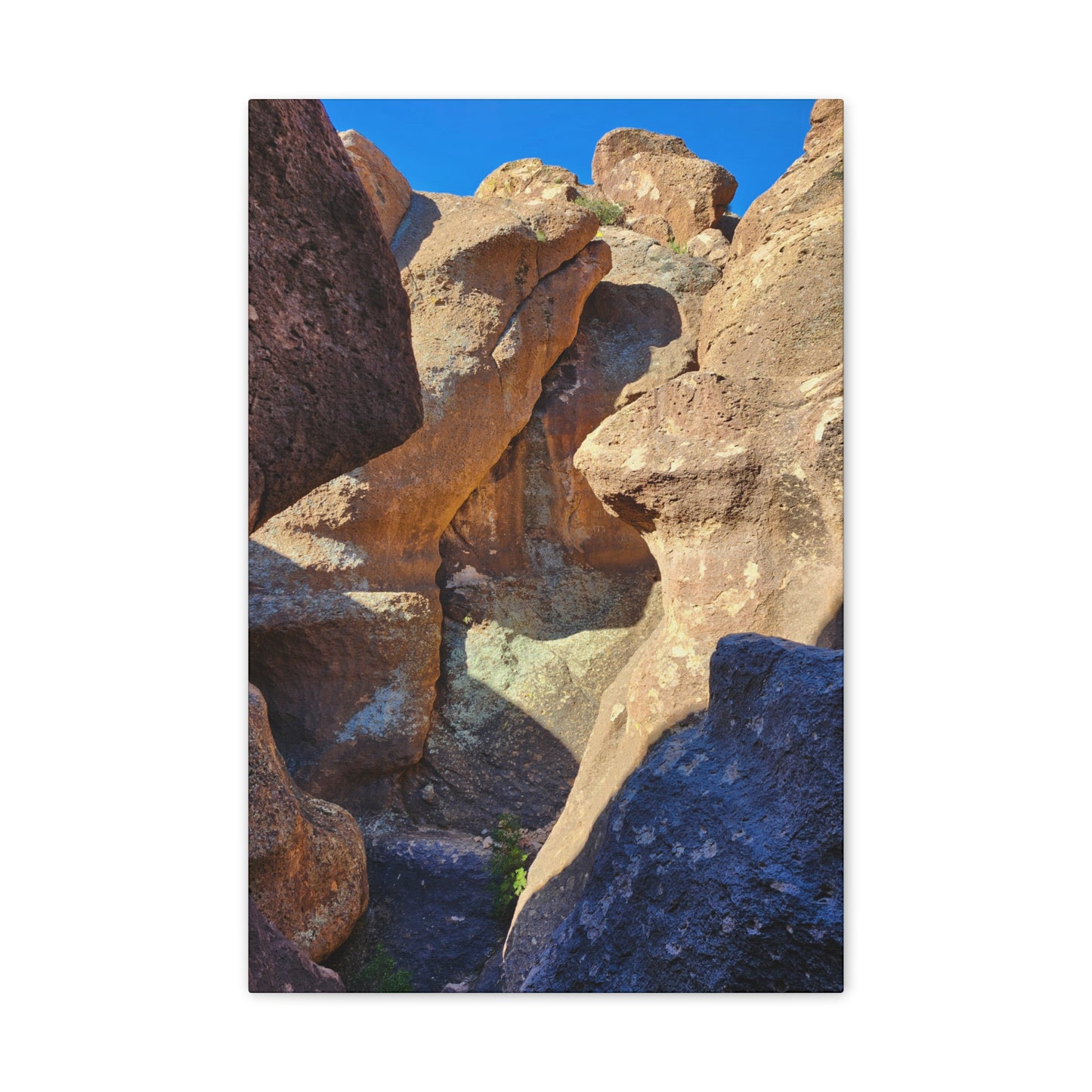 Dinosaurs in Stone; Arizona Photography, Wall Art, Natural Landscape Home Decor for Hikers and Nature Lovers!