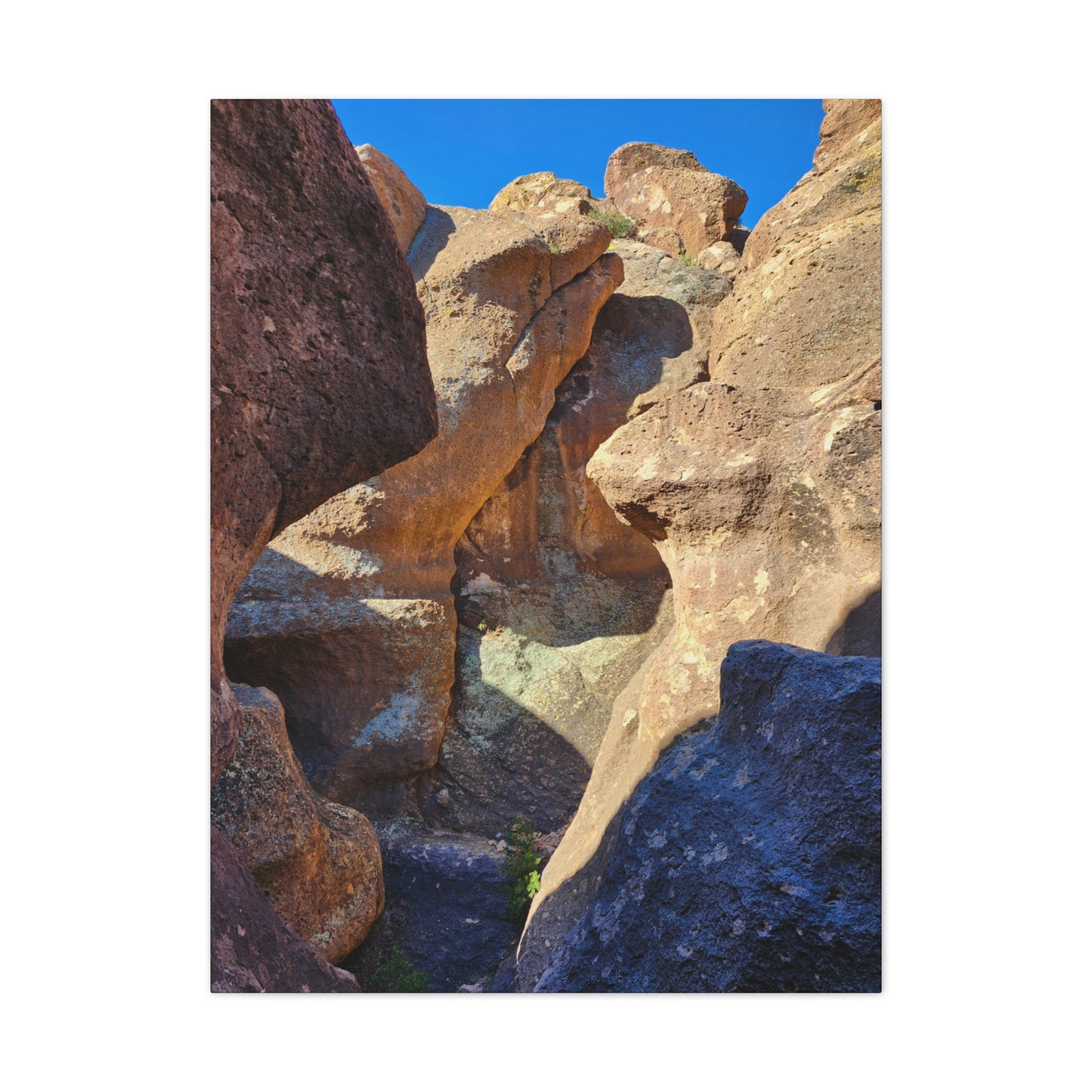 Dinosaurs in Stone; Arizona Photography, Wall Art, Natural Landscape Home Decor for Hikers and Nature Lovers!