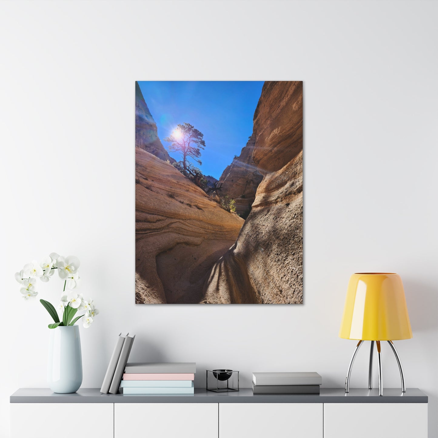 Sun and Tree at Tent Rocks National Park: Canvas Print