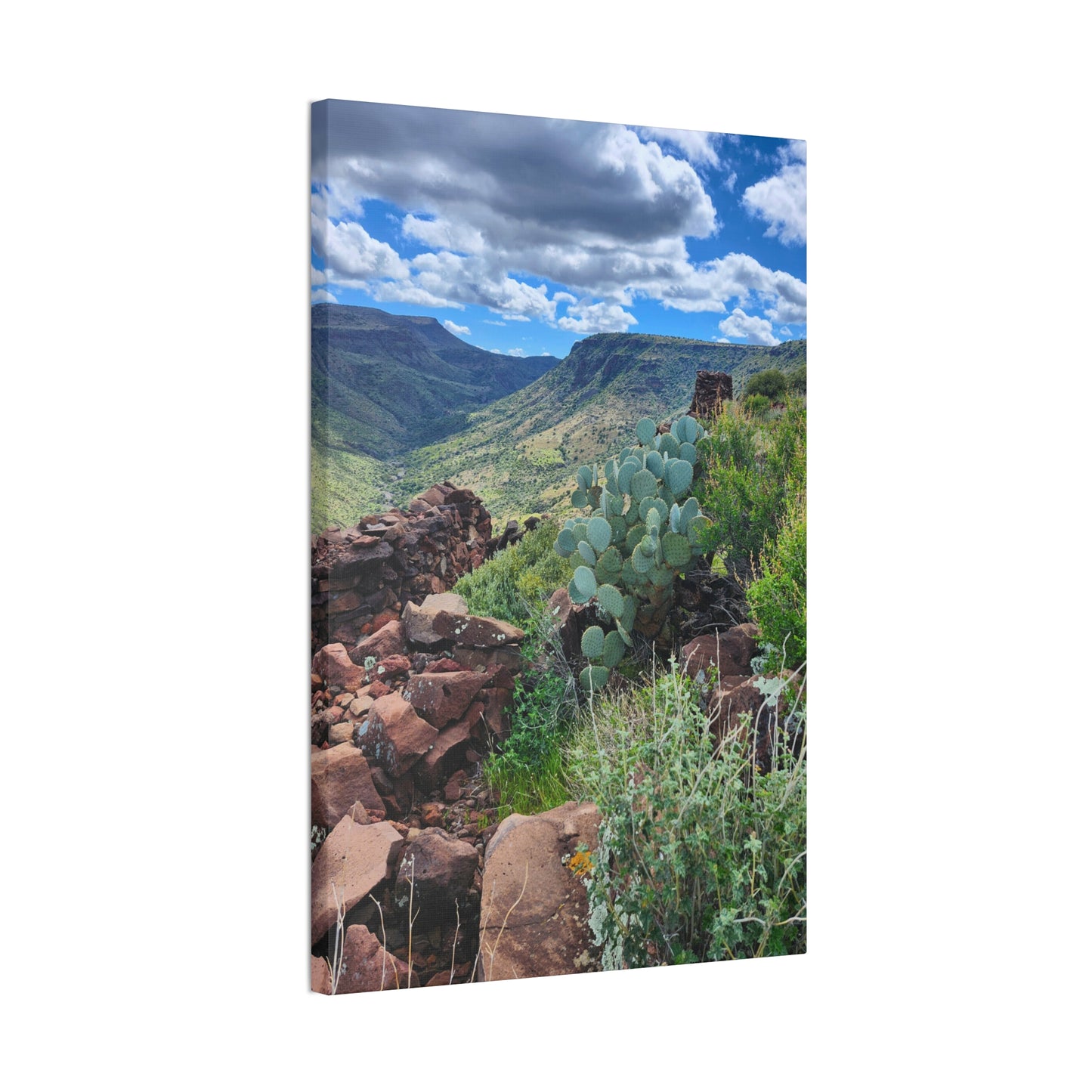 The Ruins of Skull Mesa (#7); Arizona Photography, Wall Art, Natural Landscape Home Decor for Hikers and Nature Lovers!