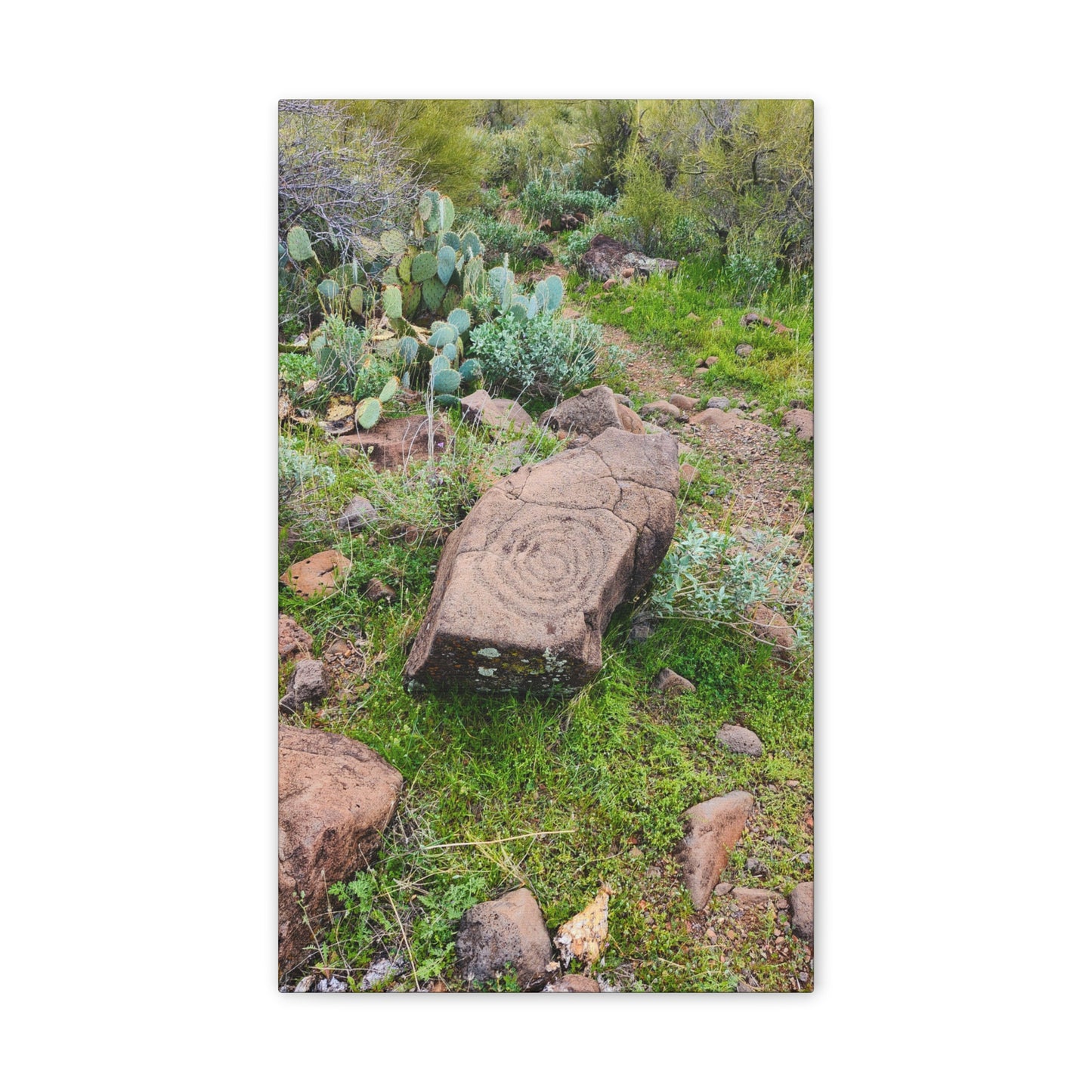 Petroglyphs of the Sonoran Desert; Arizona Photography, Wall Art, Natural Landscape Home Decor for Hikers and Nature Lovers!