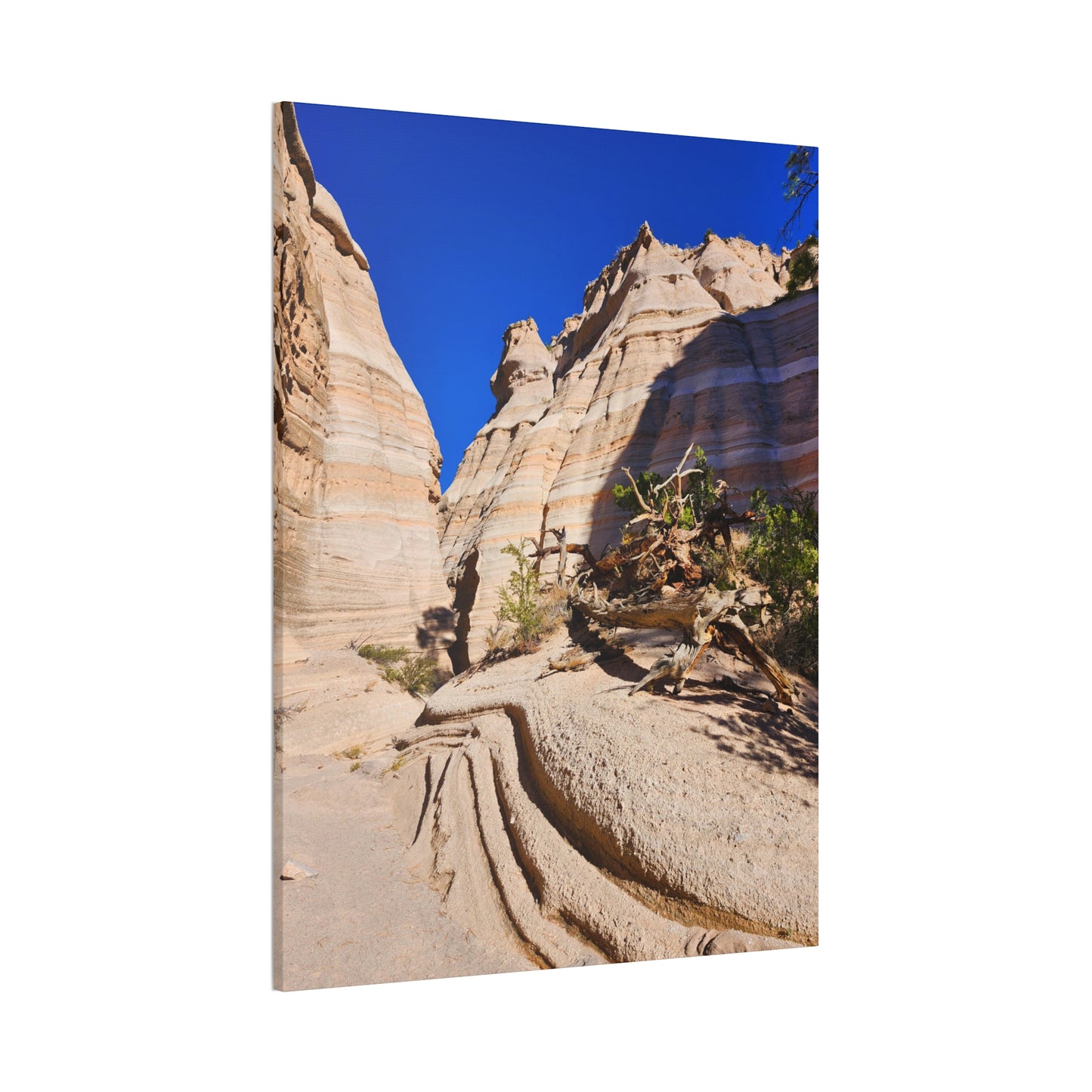 Slot Canyon Through Tent Rocks National Park: Canvas Print