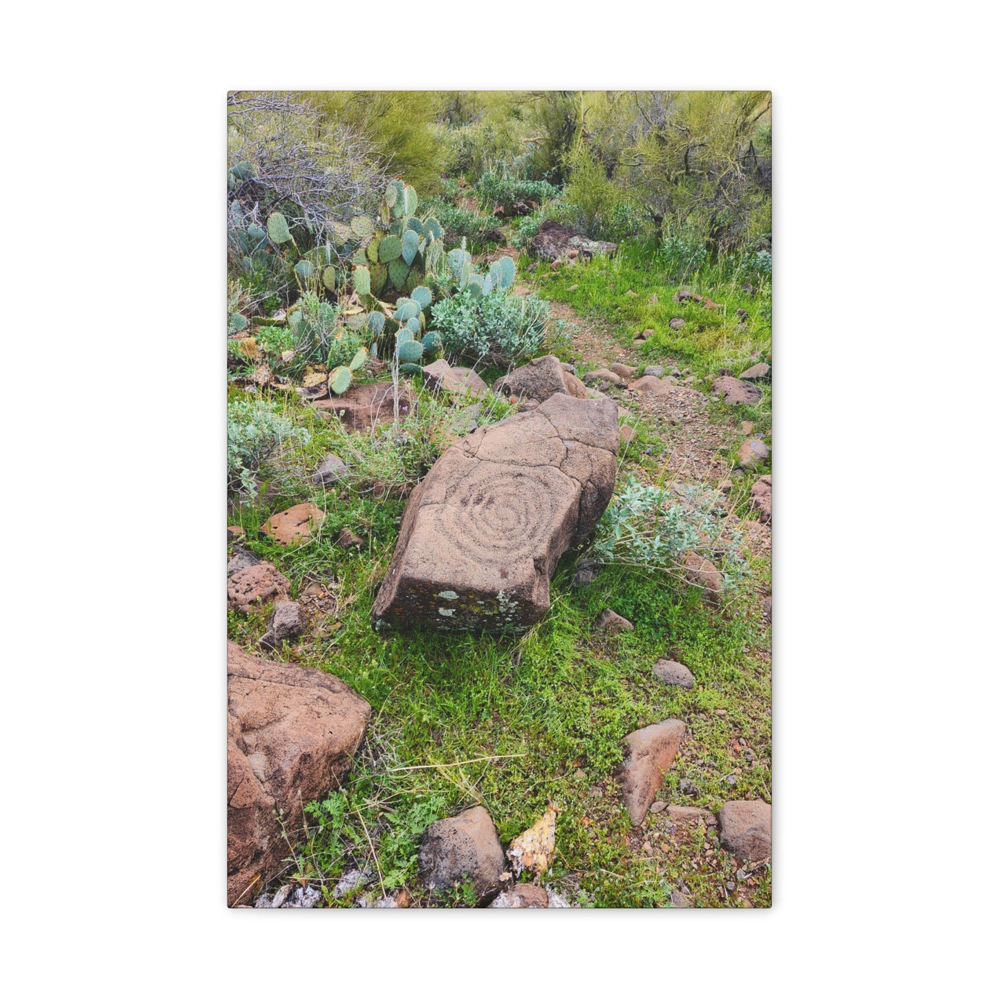 Petroglyphs of the Sonoran Desert; Arizona Photography, Wall Art, Natural Landscape Home Decor for Hikers and Nature Lovers!