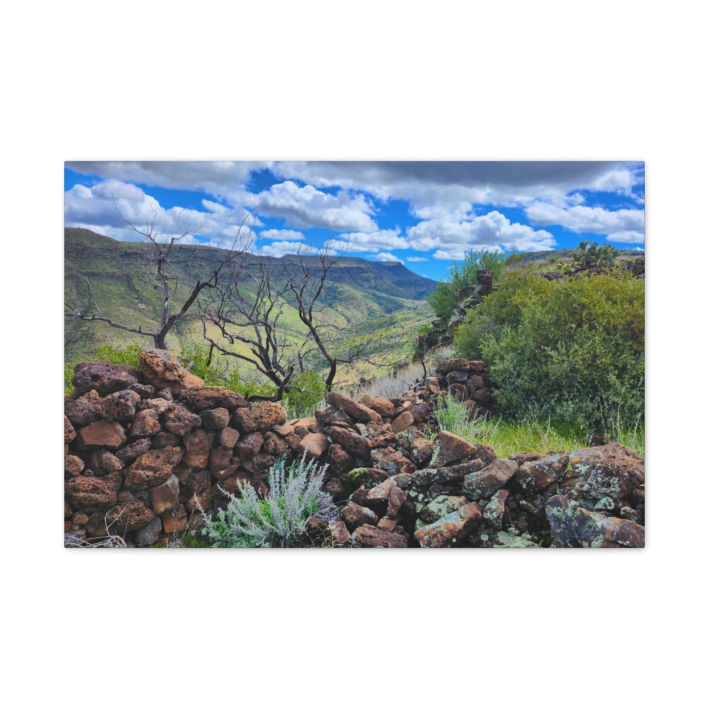 The Ruins of Skull Mesa (#5); Arizona Photography, Wall Art, Natural Landscape Home Decor for Hikers and Nature Lovers!