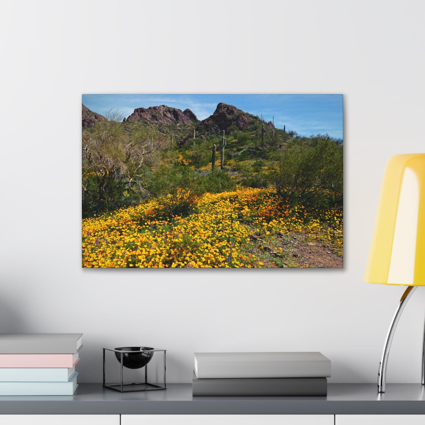 Canvas Gallery Wraps: Desert Wildflowers; Arizona Photography, Wall Art, Natural Landscape Home Decor for Hikers and Nature Lovers!