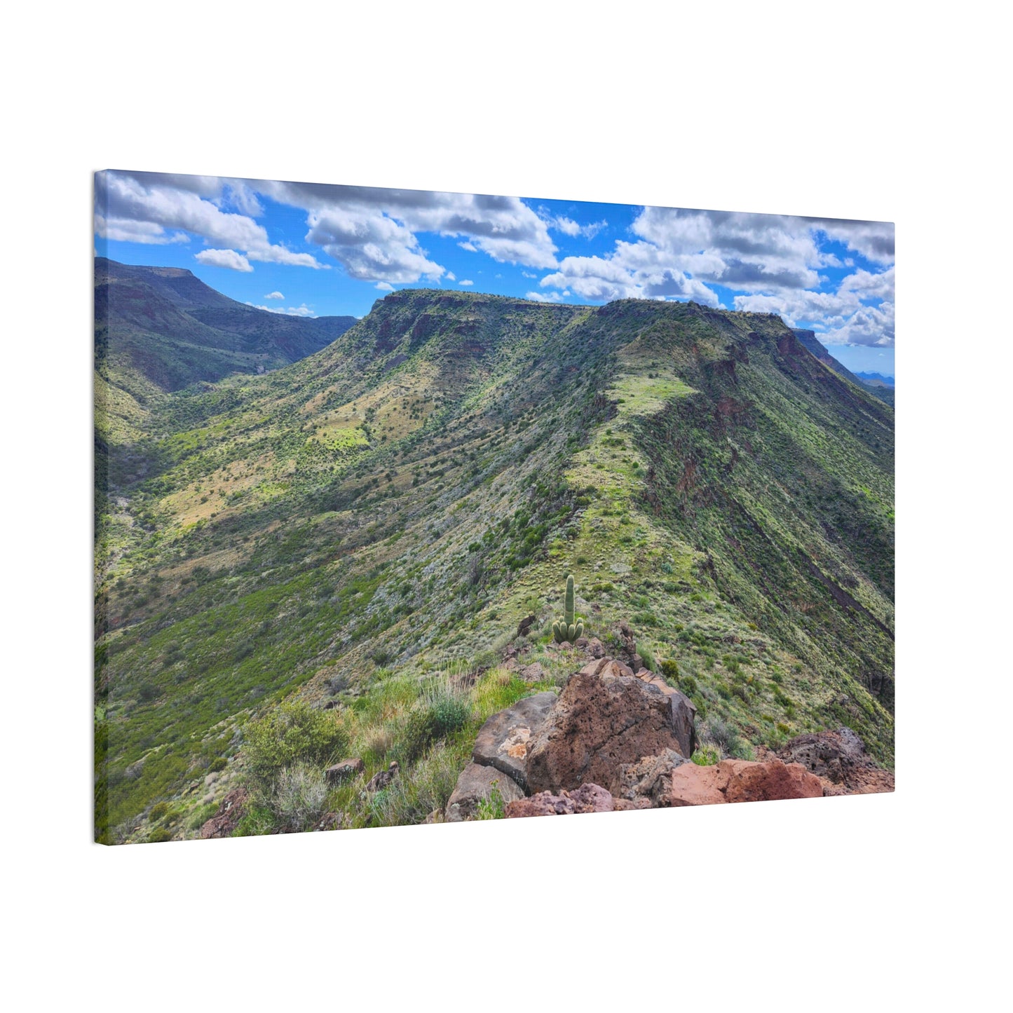 Looking Back at Skull Mesa; Arizona Photography, Wall Art, Natural Landscape Home Decor for Hikers and Nature Lovers!