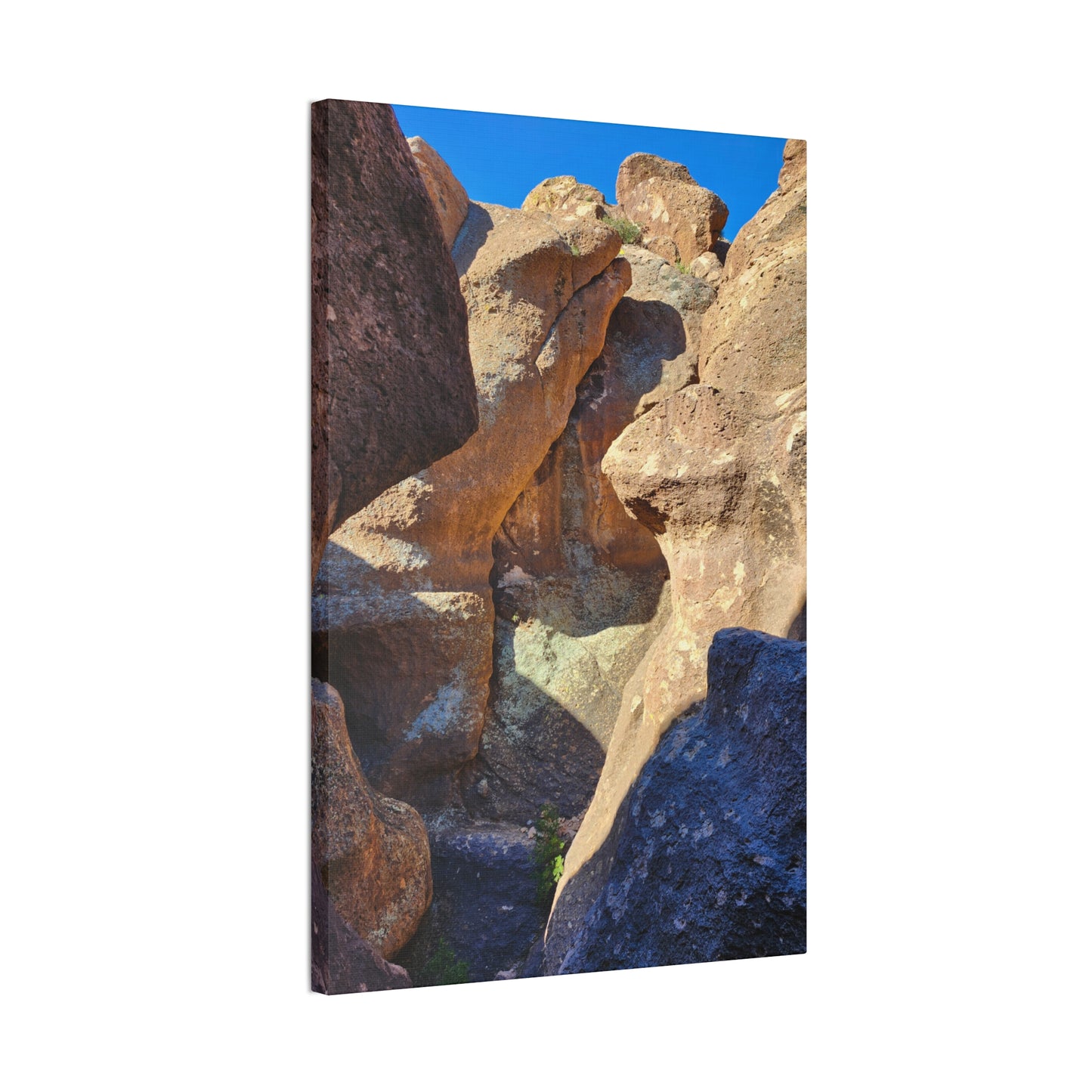Dinosaurs in Stone; Arizona Photography, Wall Art, Natural Landscape Home Decor for Hikers and Nature Lovers!