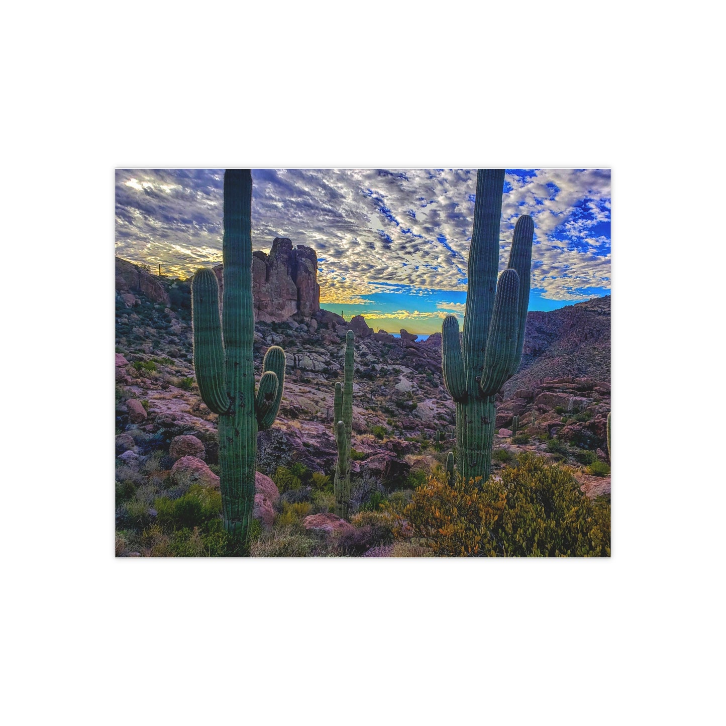 Arizona Poster Print: Mountaintop Saguaros; Arizona Photography, Wall Art, Natural Landscape Home Decor for Hikers and Nature Lovers!
