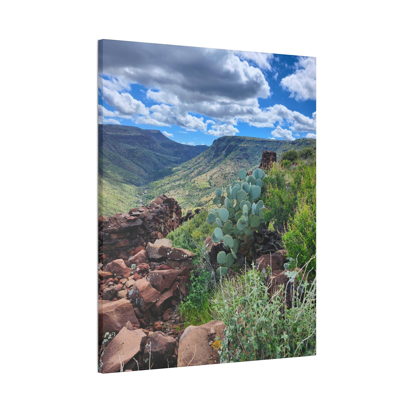 The Ruins of Skull Mesa (#7); Arizona Photography, Wall Art, Natural Landscape Home Decor for Hikers and Nature Lovers!