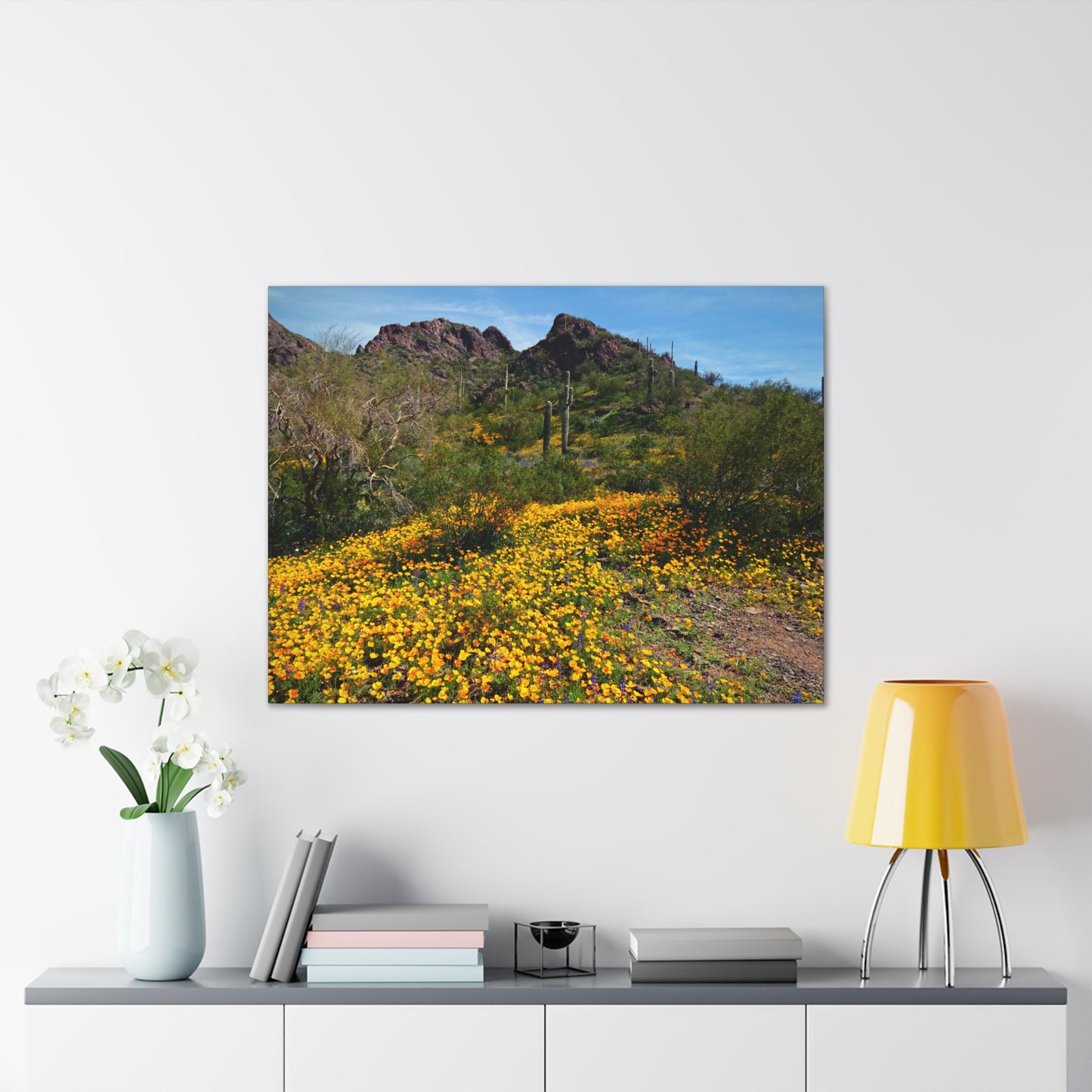 Canvas Gallery Wraps: Desert Wildflowers; Arizona Photography, Wall Art, Natural Landscape Home Decor for Hikers and Nature Lovers!