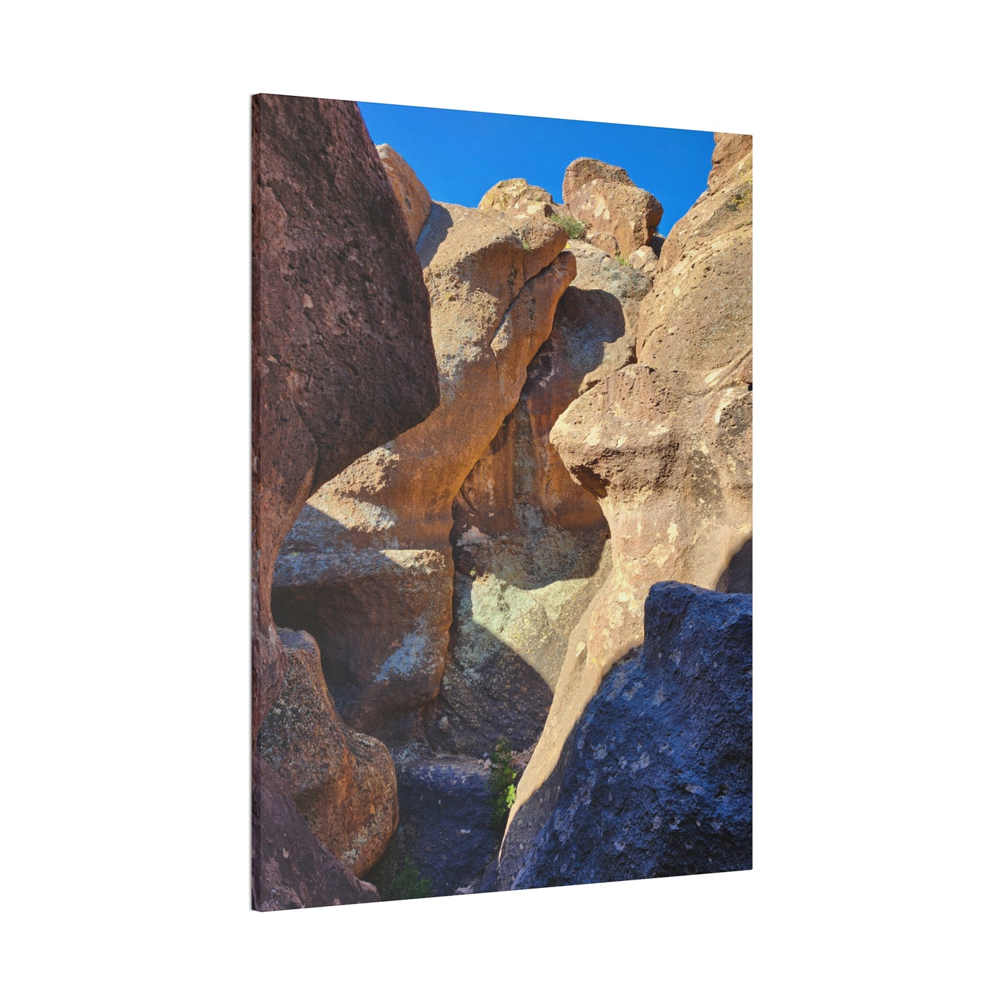 Dinosaurs in Stone; Arizona Photography, Wall Art, Natural Landscape Home Decor for Hikers and Nature Lovers!