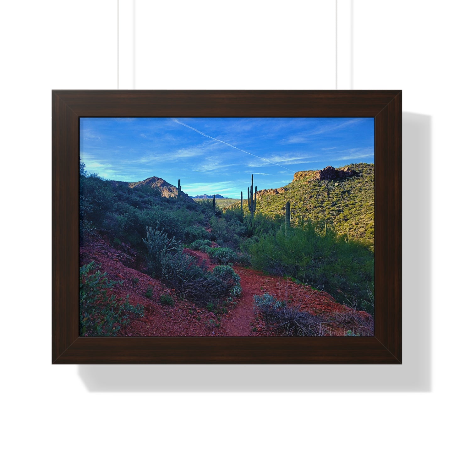 Framed Desert Photography: The Vibrant Desert; Arizona Photography, Wall Art, Natural Landscape Home Decor for Hikers and Nature Lovers!