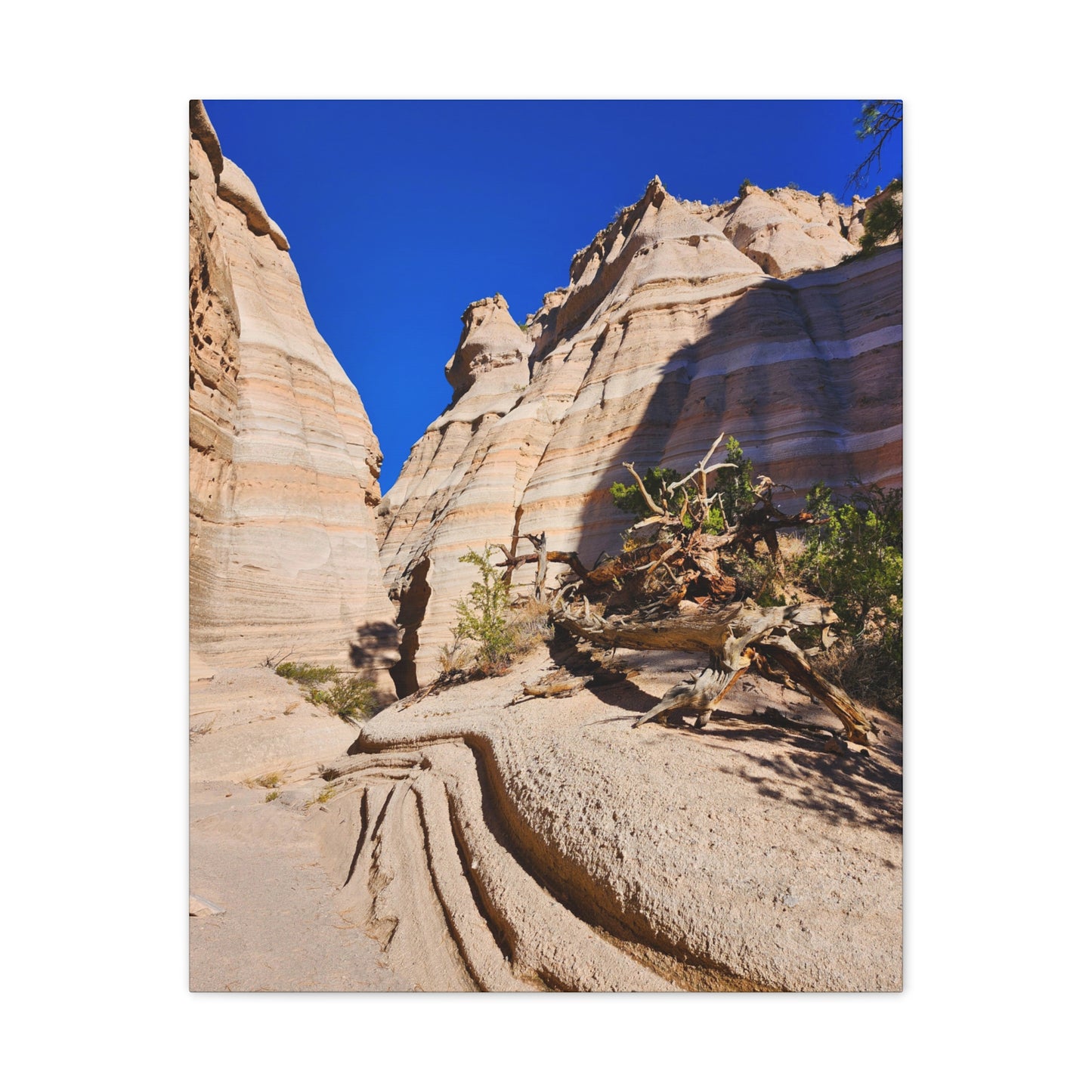 Slot Canyon Through Tent Rocks National Park: Canvas Print