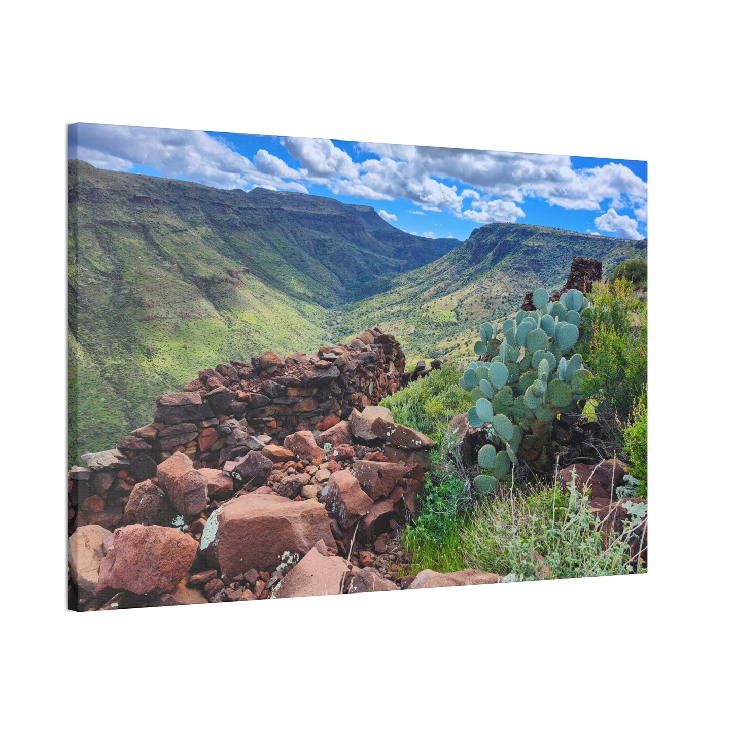 The Ruins of Skull Mesa (#3); Arizona Photography, Wall Art, Natural Landscape Home Decor for Hikers and Nature Lovers!