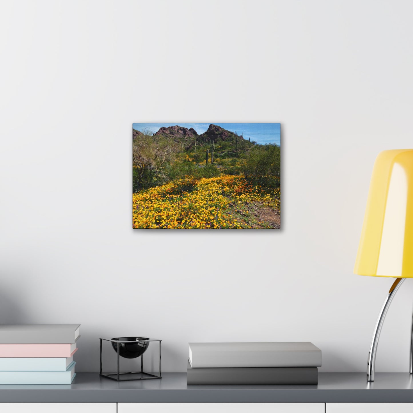 Canvas Gallery Wraps: Desert Wildflowers; Arizona Photography, Wall Art, Natural Landscape Home Decor for Hikers and Nature Lovers!