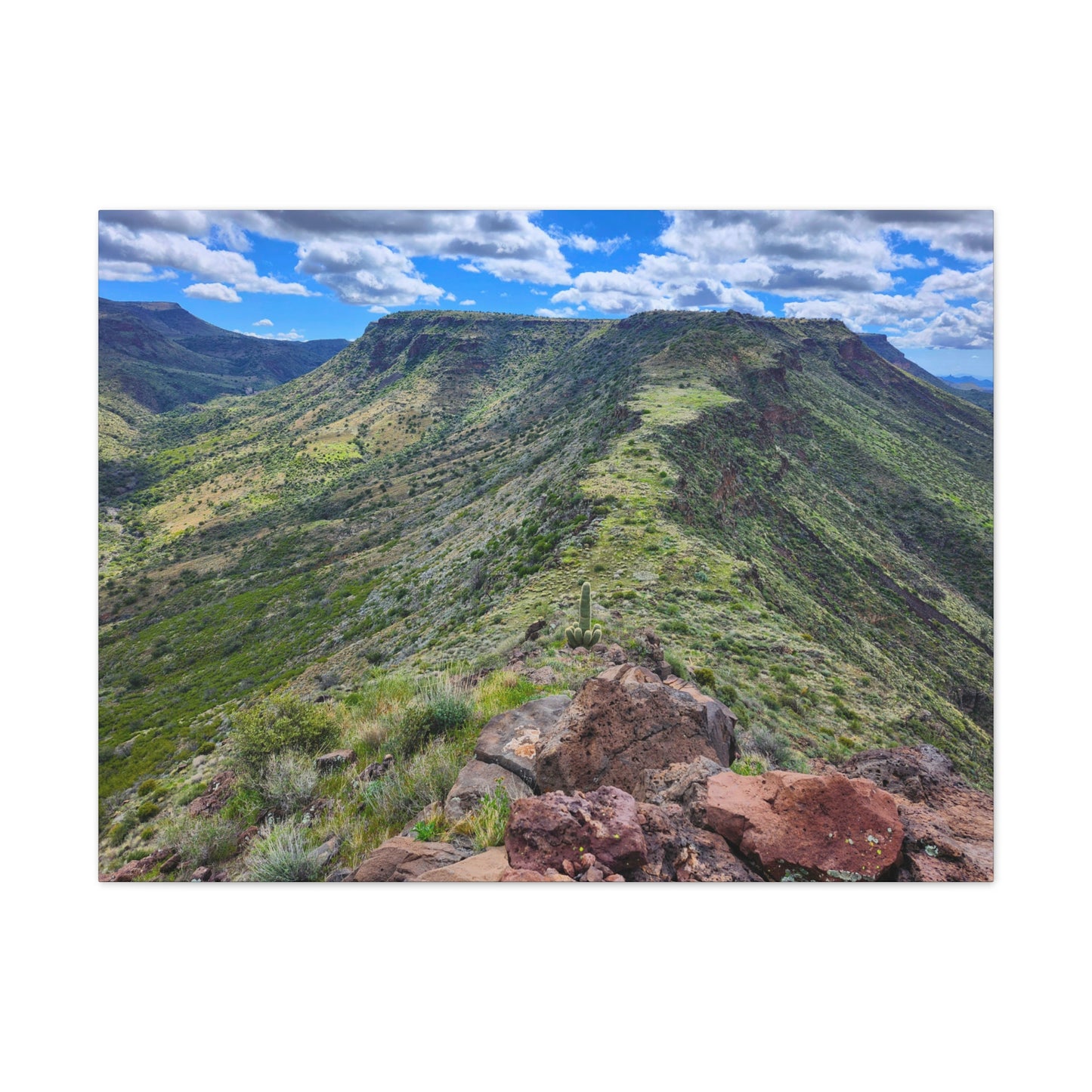 Looking Back at Skull Mesa; Arizona Photography, Wall Art, Natural Landscape Home Decor for Hikers and Nature Lovers!