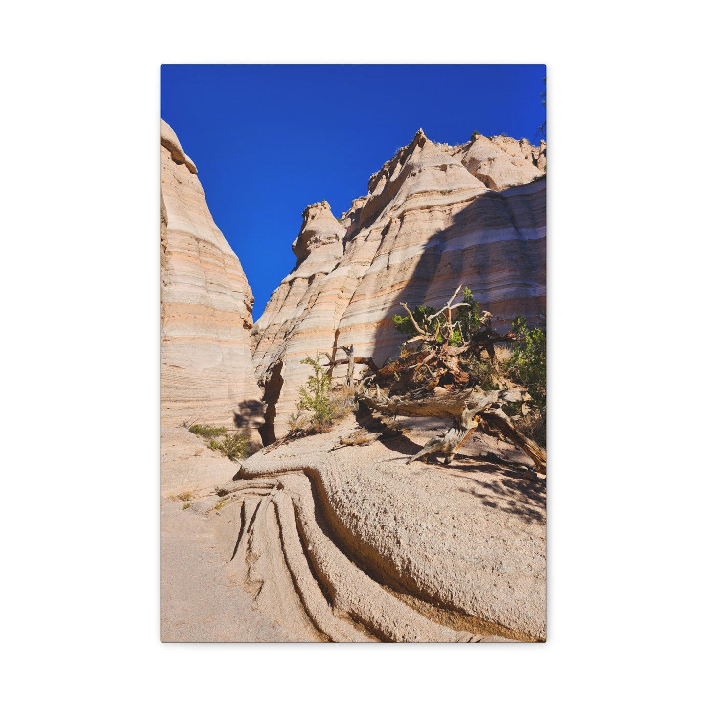 Slot Canyon Through Tent Rocks National Park: Canvas Print