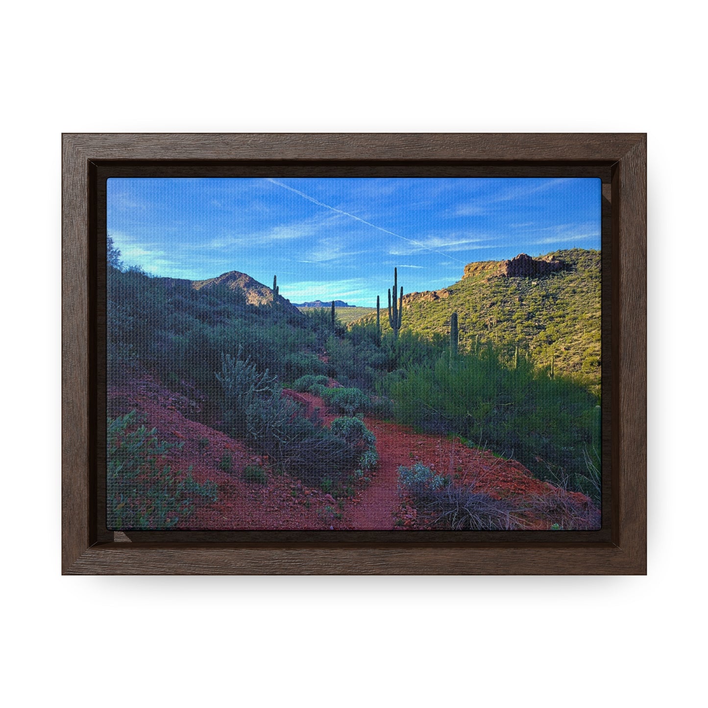 Framed Canvas Gallery Wraps: The Vibrant Desert; Arizona Photography, Wall Art, Natural Landscape Home Decor for Hikers and Nature Lovers!