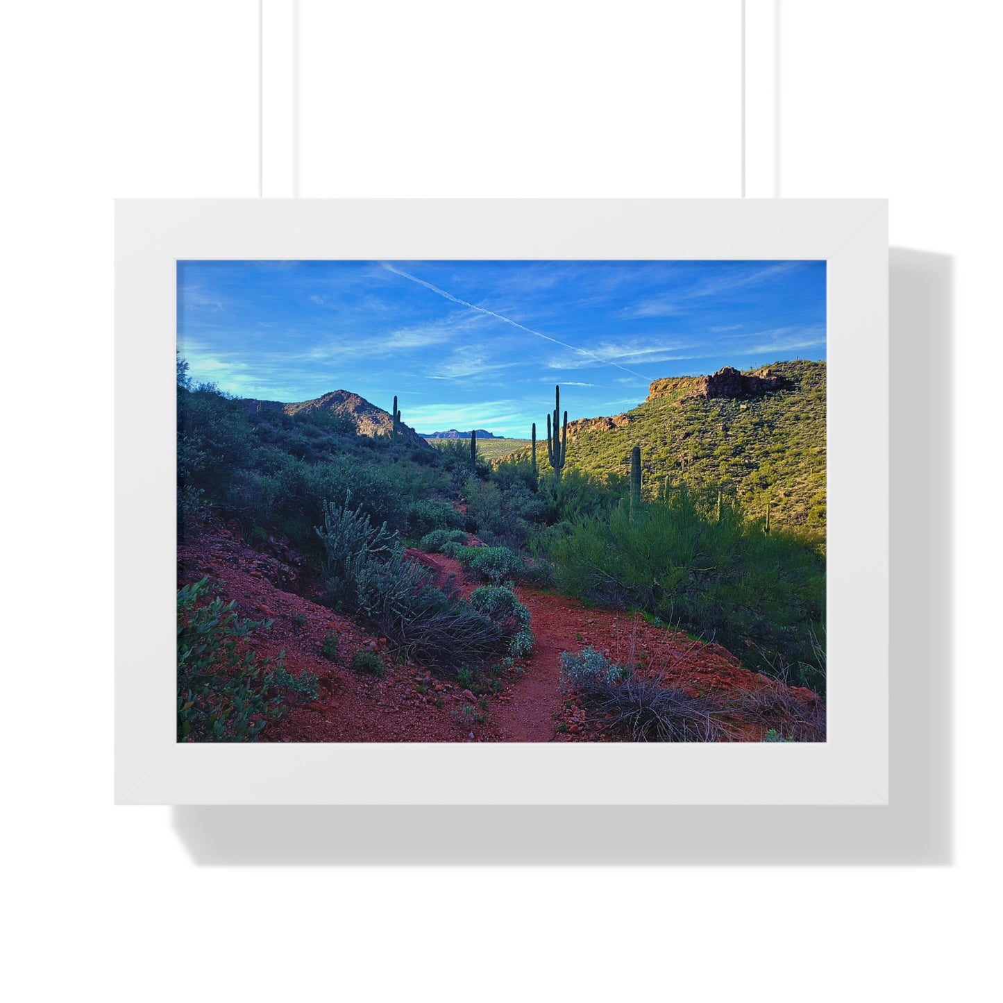 Framed Desert Photography: The Vibrant Desert; Arizona Photography, Wall Art, Natural Landscape Home Decor for Hikers and Nature Lovers!