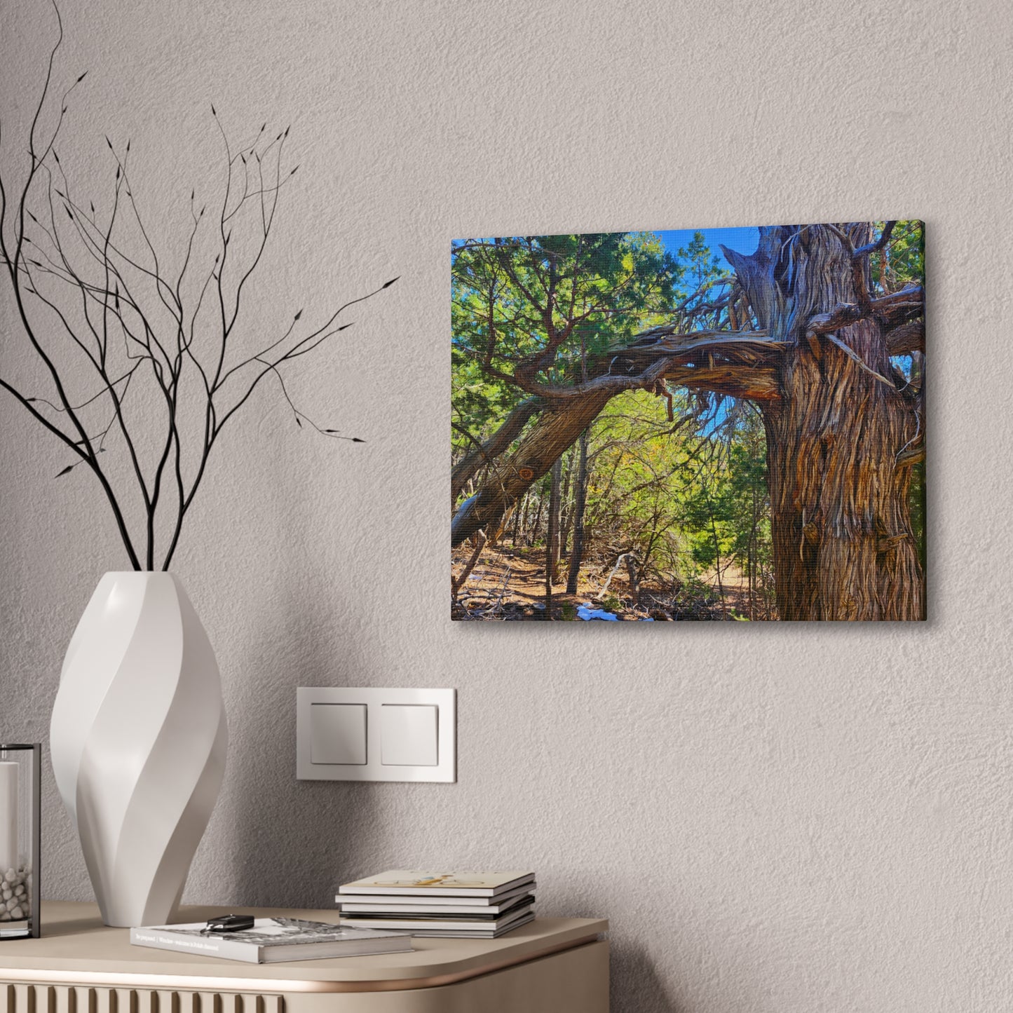 Wisdom: New Mexican Juniper (Canvas Print)