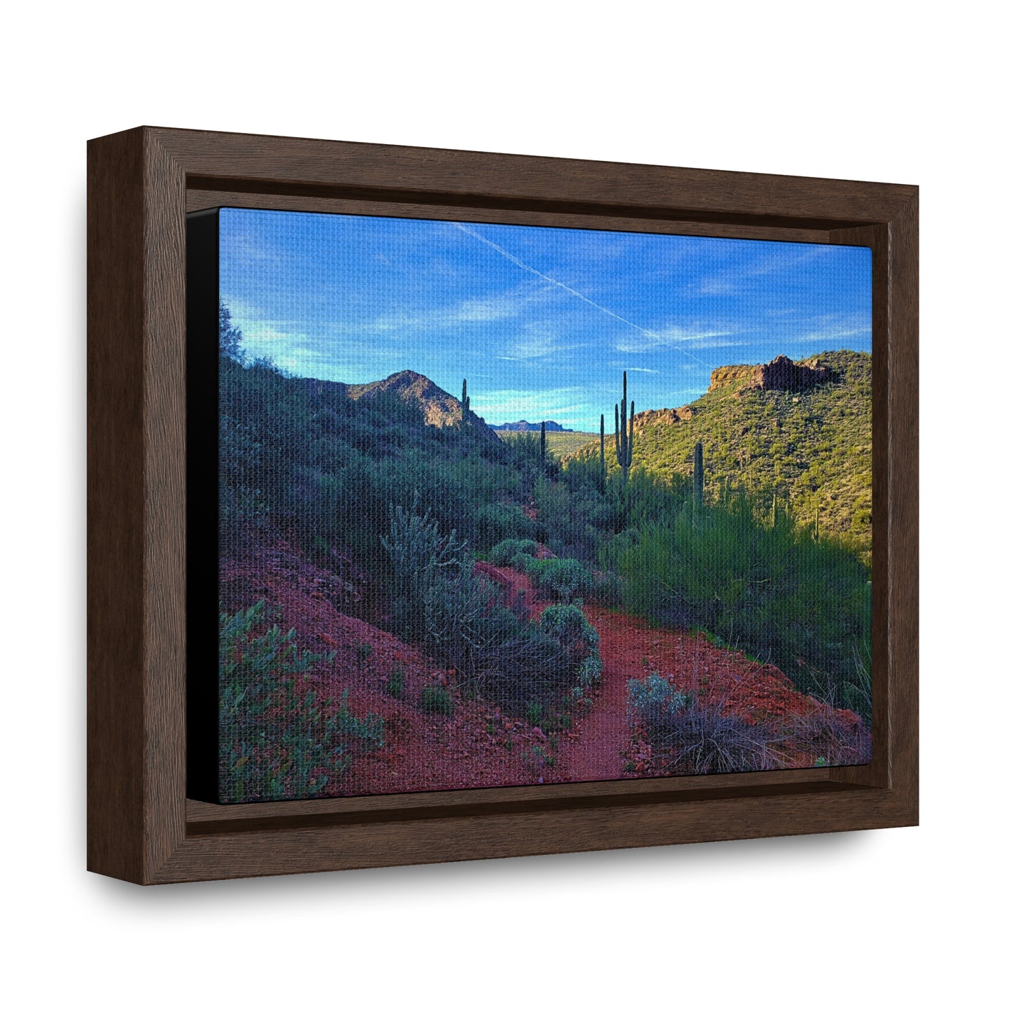 Framed Canvas Gallery Wraps: The Vibrant Desert; Arizona Photography, Wall Art, Natural Landscape Home Decor for Hikers and Nature Lovers!