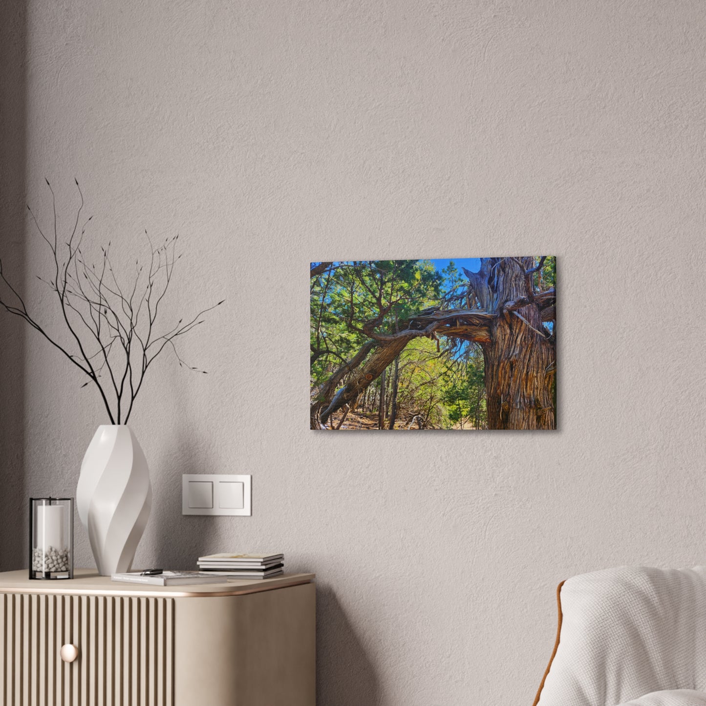 Wisdom: New Mexican Juniper (Canvas Print)