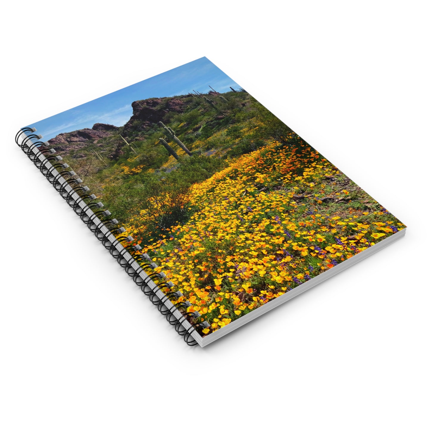 Spiral Notebook: Desert Wildflowers of Arizona, a writing journal to log your travels and adventures, for Hikers and Nature Lovers!