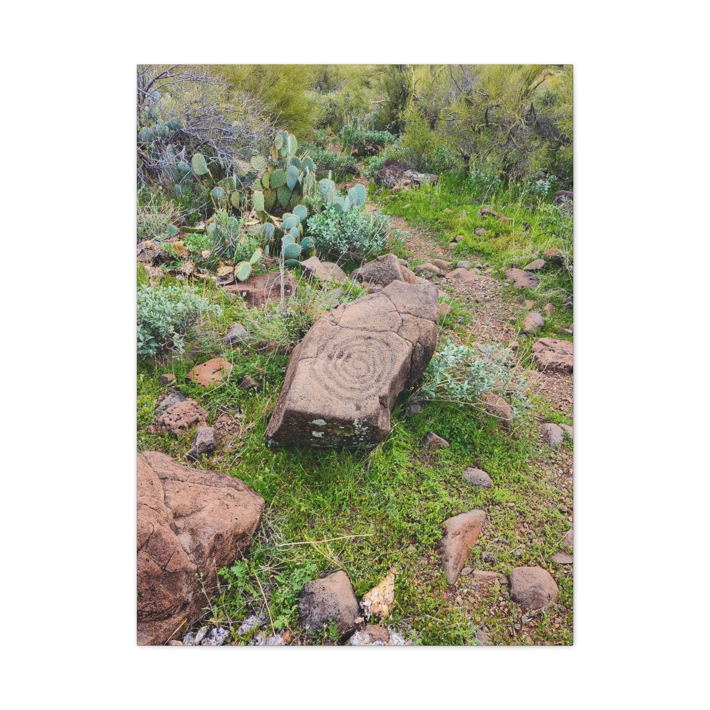 Petroglyphs of the Sonoran Desert; Arizona Photography, Wall Art, Natural Landscape Home Decor for Hikers and Nature Lovers!