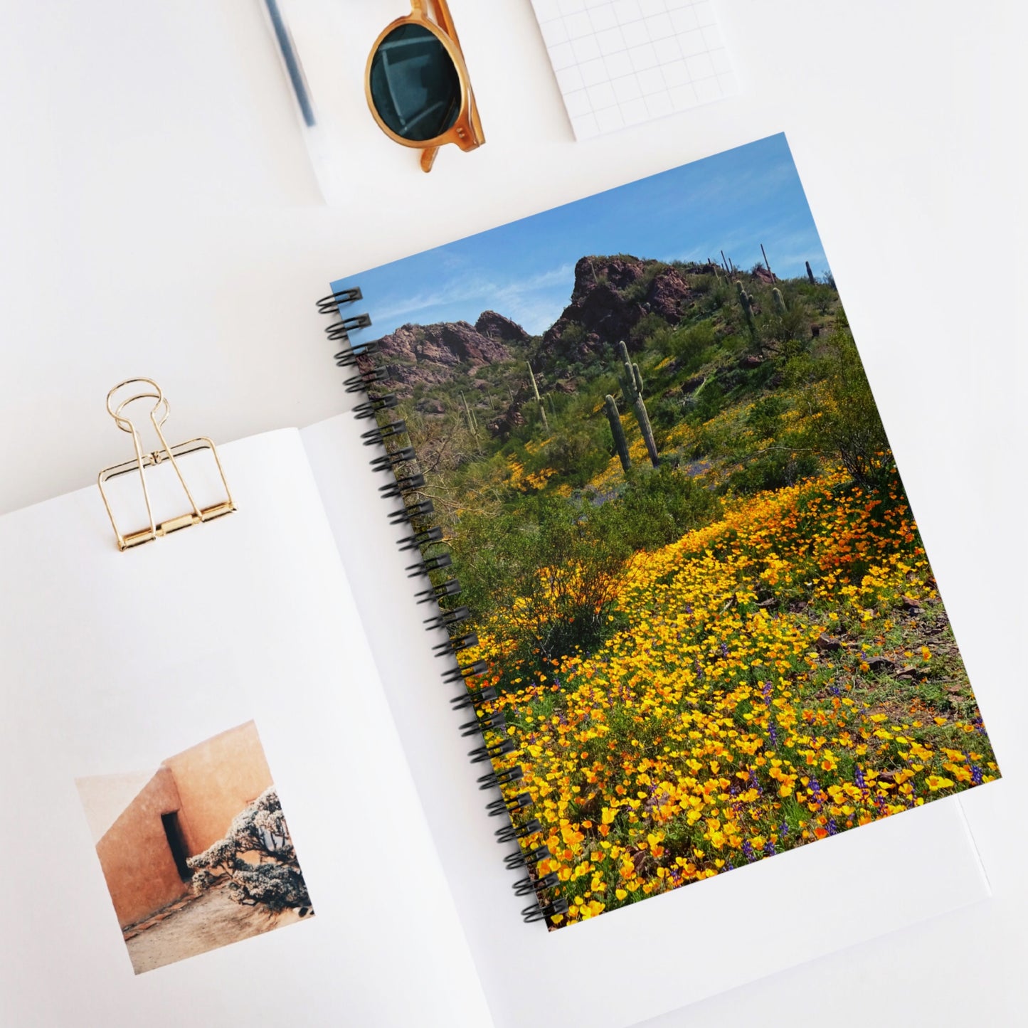 Spiral Notebook: Desert Wildflowers of Arizona, a writing journal to log your travels and adventures, for Hikers and Nature Lovers!