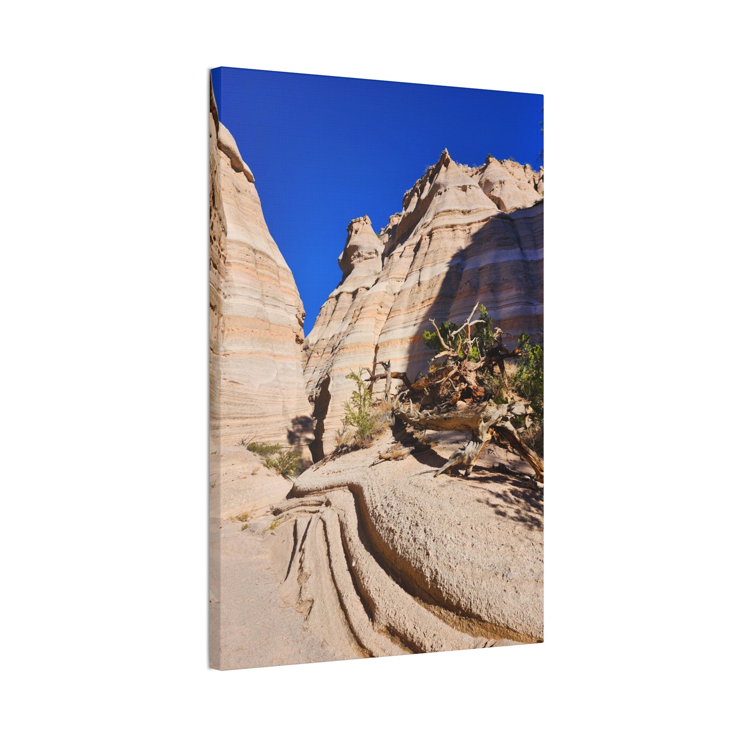 Slot Canyon Through Tent Rocks National Park: Canvas Print