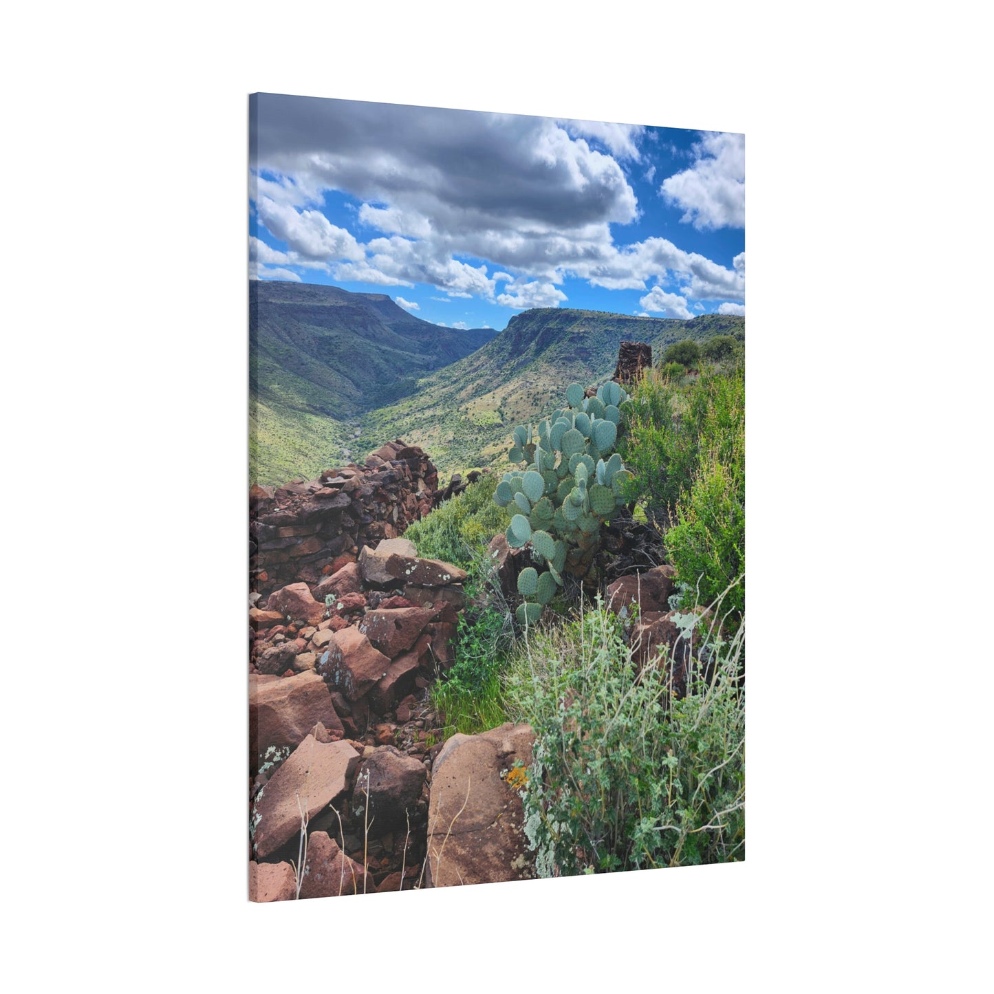 The Ruins of Skull Mesa (#7); Arizona Photography, Wall Art, Natural Landscape Home Decor for Hikers and Nature Lovers!