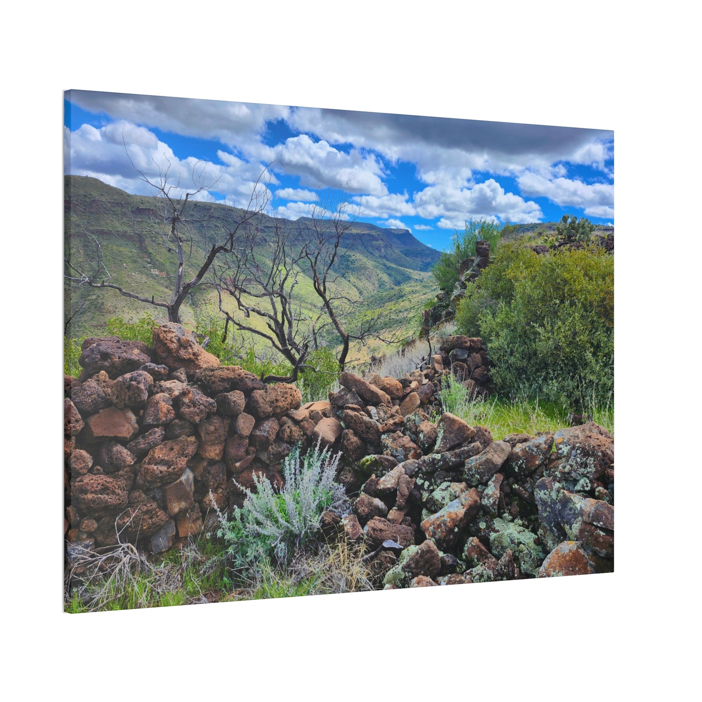 The Ruins of Skull Mesa (#5); Arizona Photography, Wall Art, Natural Landscape Home Decor for Hikers and Nature Lovers!