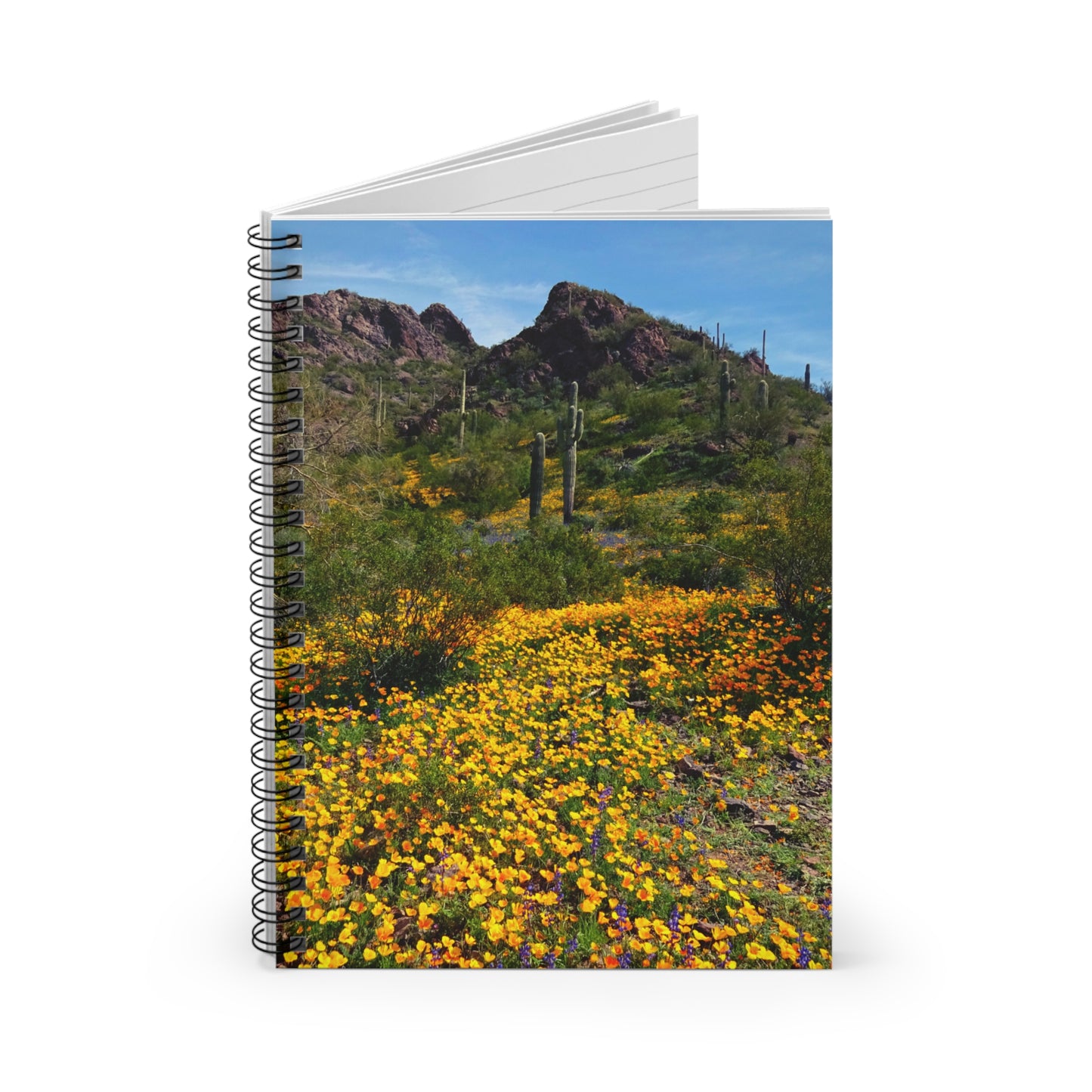 Spiral Notebook: Desert Wildflowers of Arizona, a writing journal to log your travels and adventures, for Hikers and Nature Lovers!