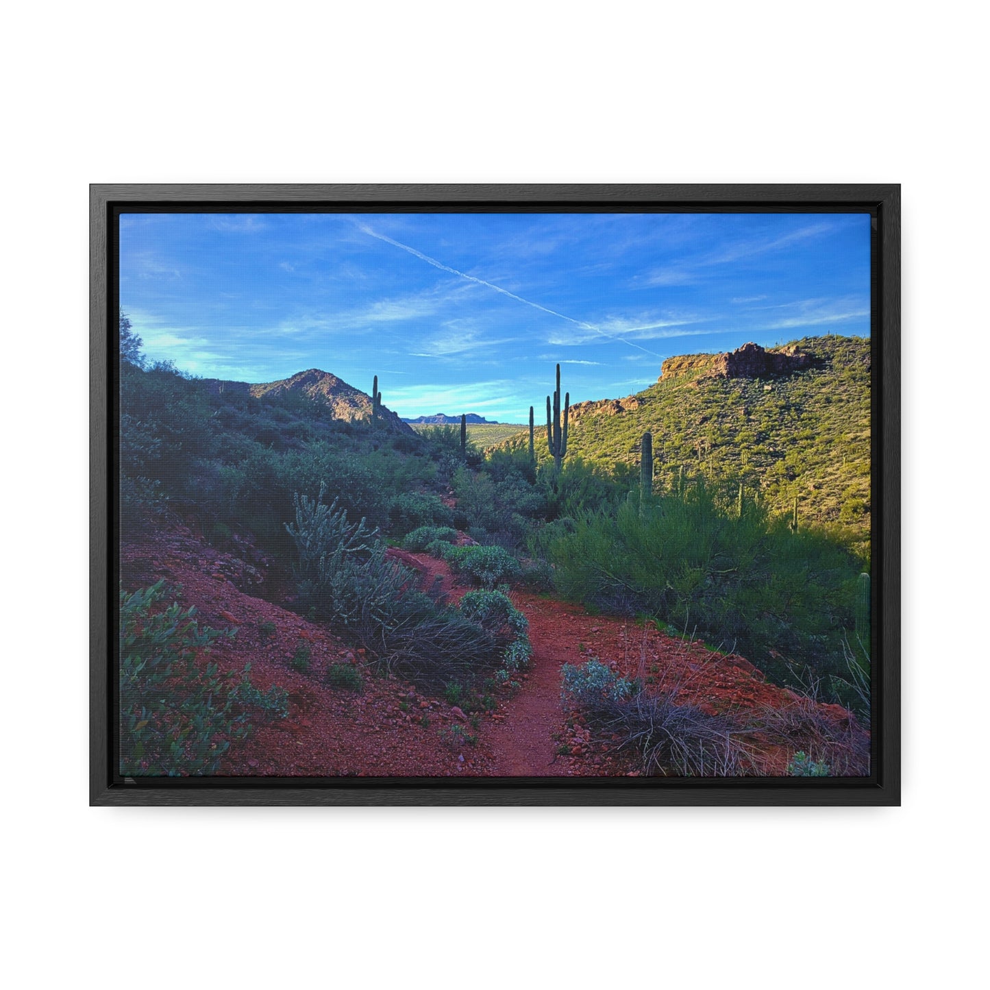 Framed Canvas Gallery Wraps: The Vibrant Desert; Arizona Photography, Wall Art, Natural Landscape Home Decor for Hikers and Nature Lovers!