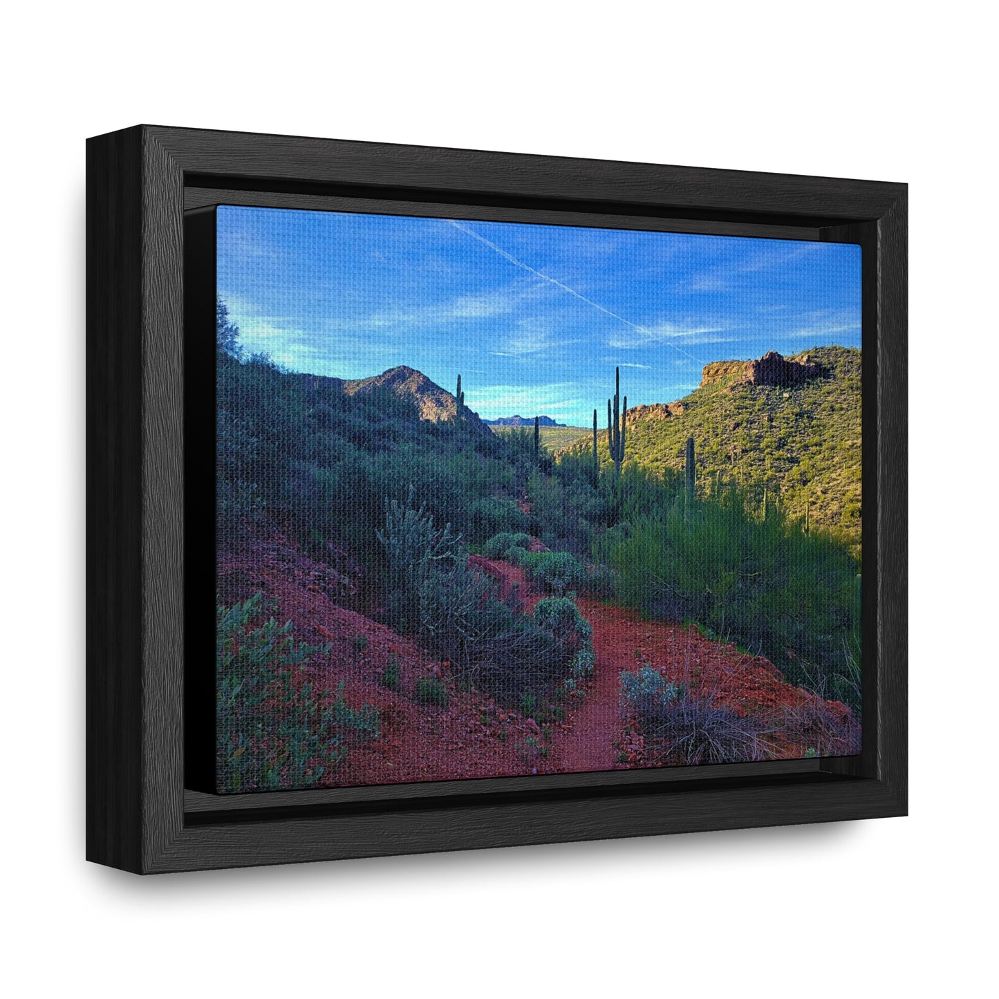Framed Canvas Gallery Wraps: The Vibrant Desert; Arizona Photography, Wall Art, Natural Landscape Home Decor for Hikers and Nature Lovers!