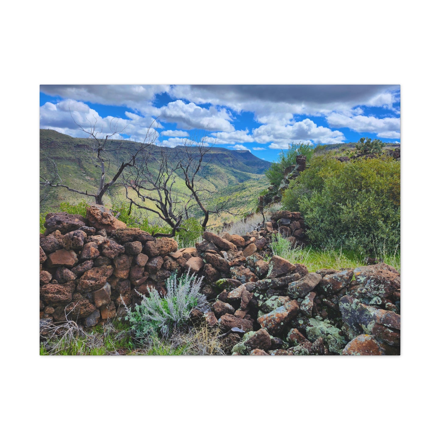The Ruins of Skull Mesa (#5); Arizona Photography, Wall Art, Natural Landscape Home Decor for Hikers and Nature Lovers!